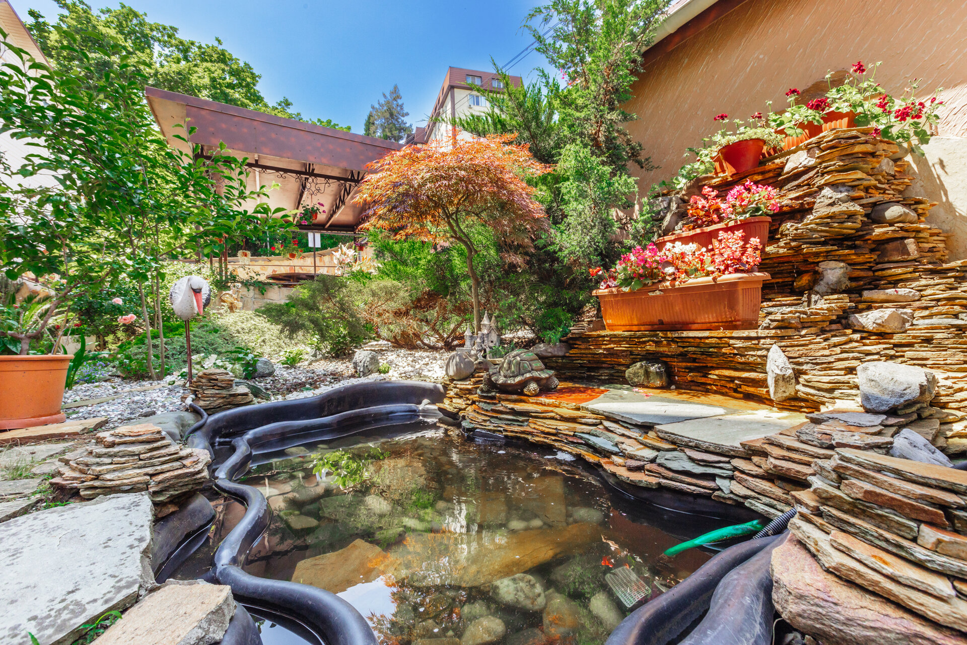 Фото У Оксаны