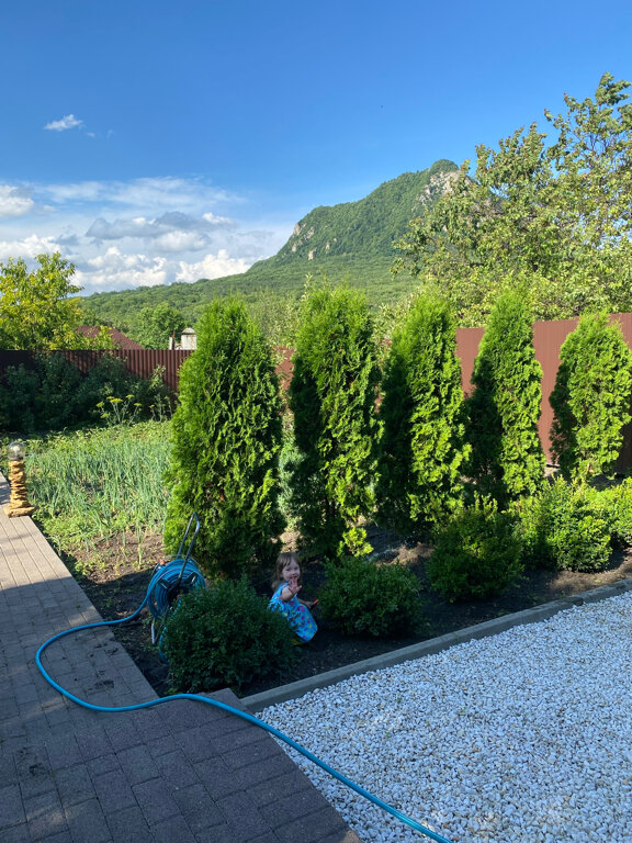 Фото Марфуга