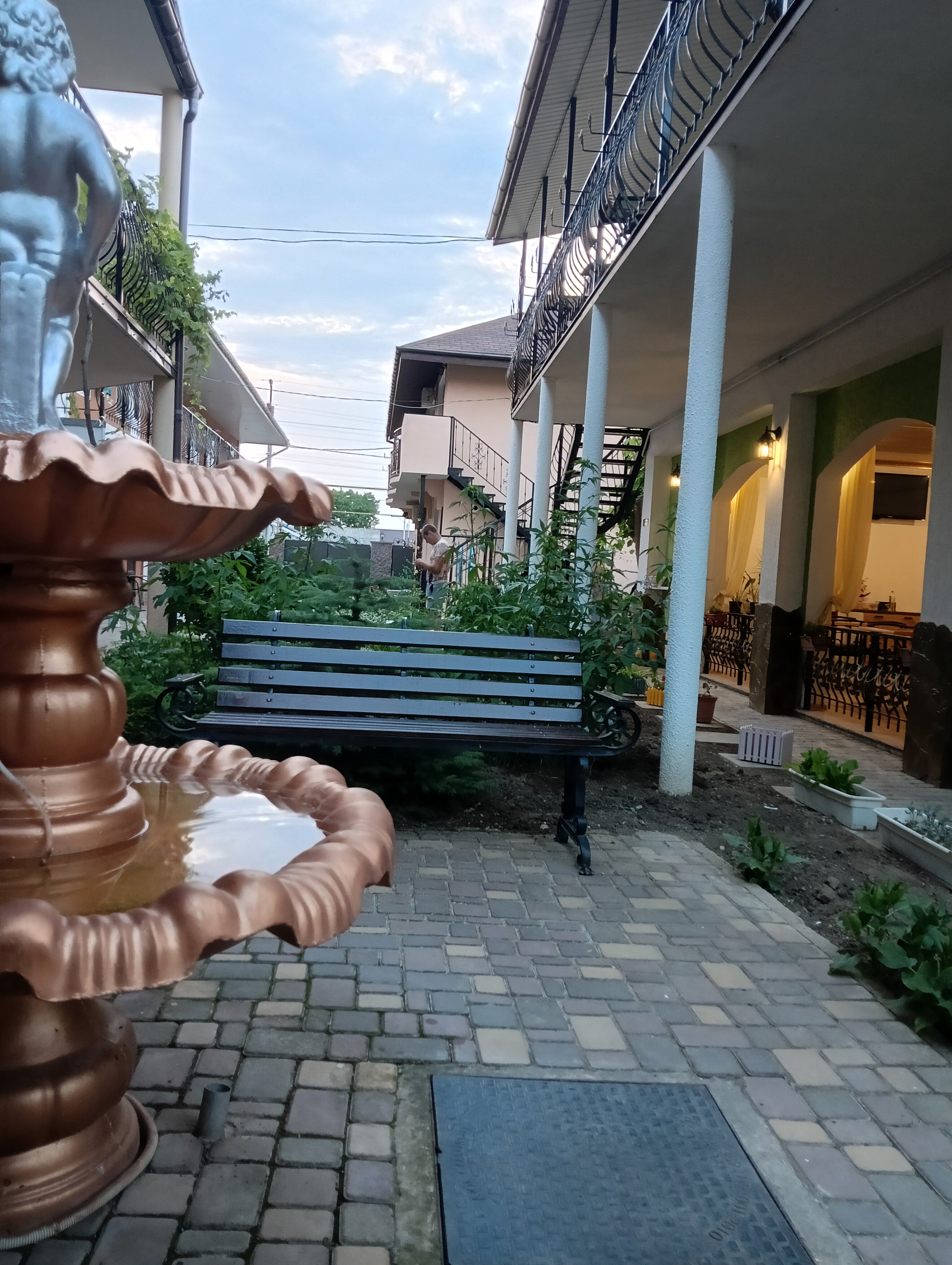 Фото Колибри