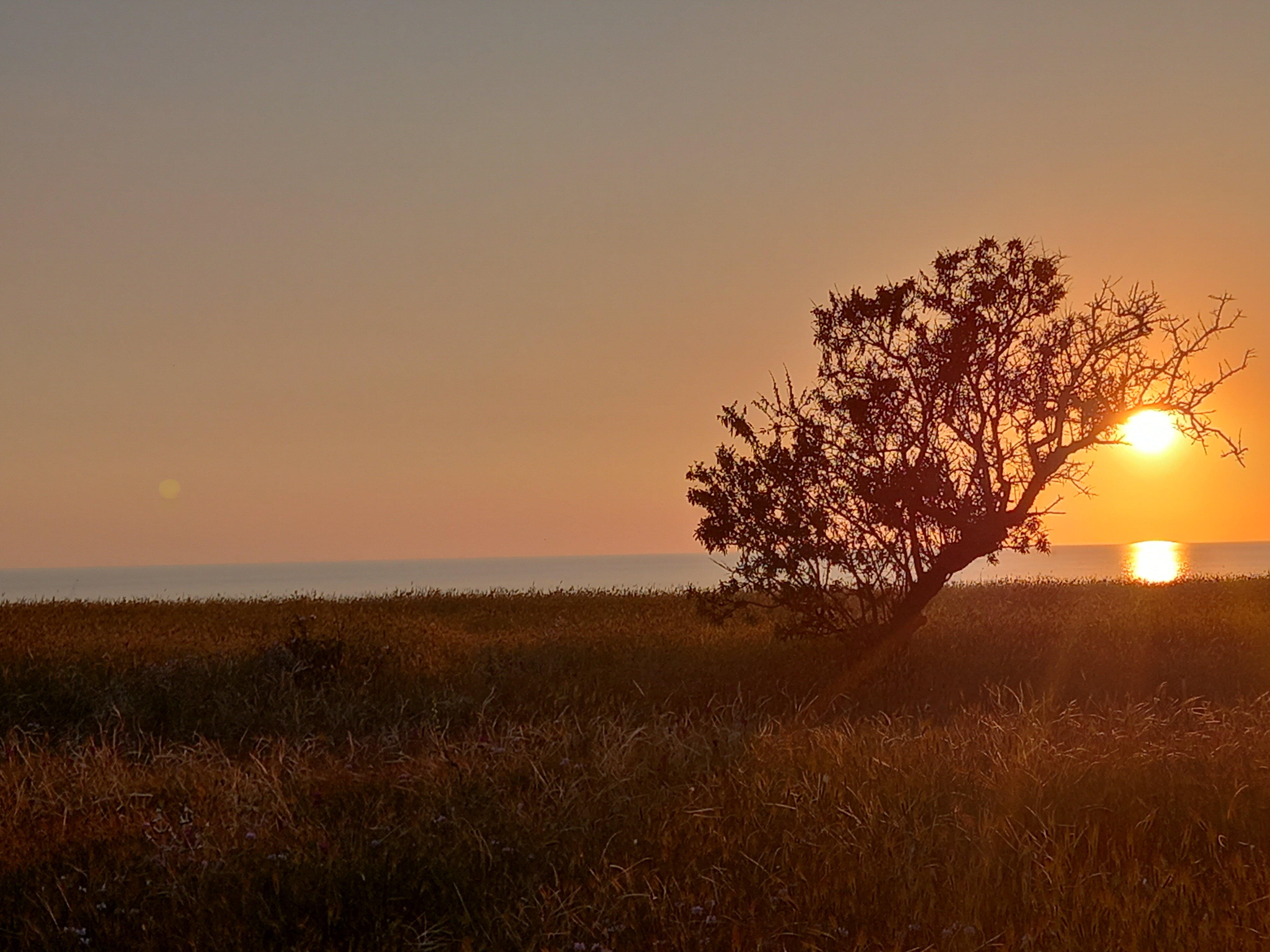 Фото Солнышко