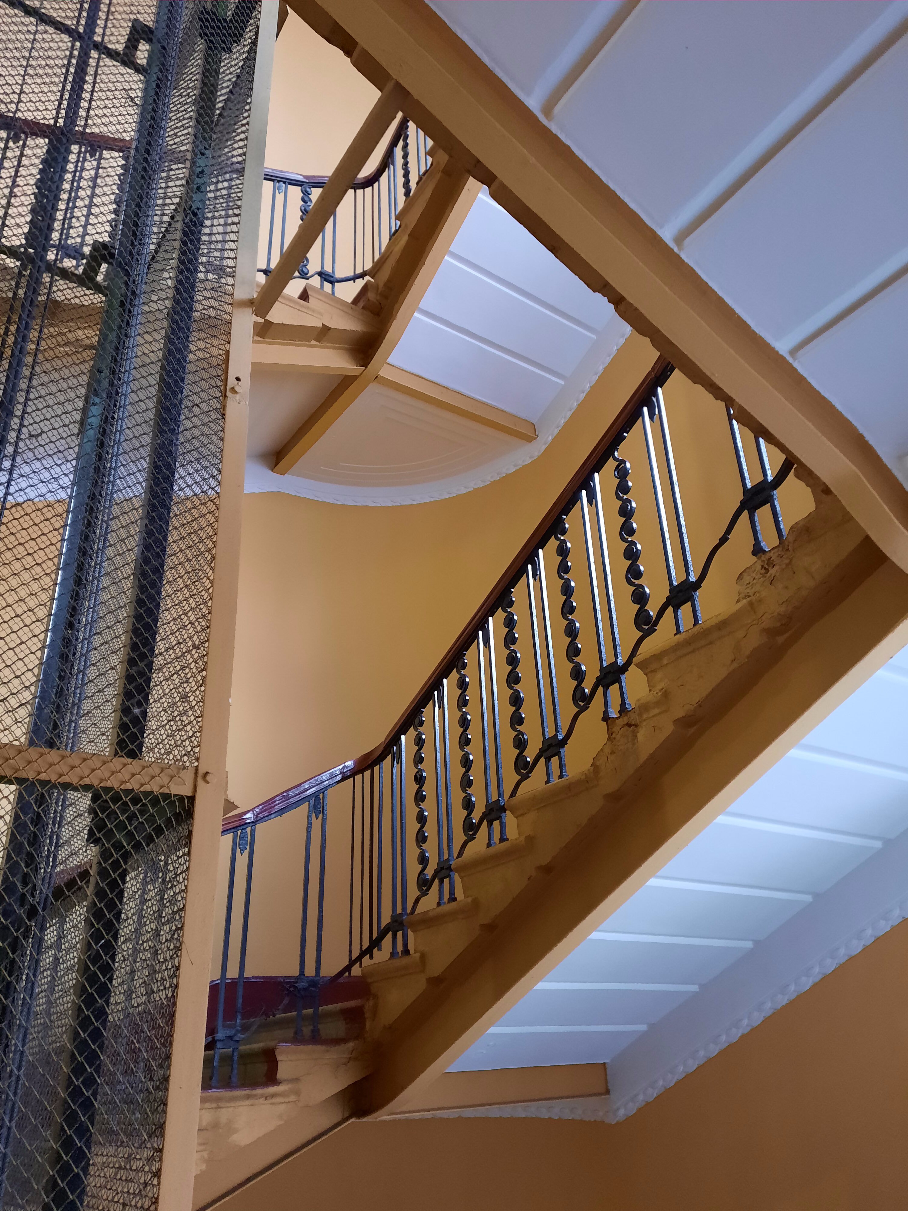 Фото Демократ