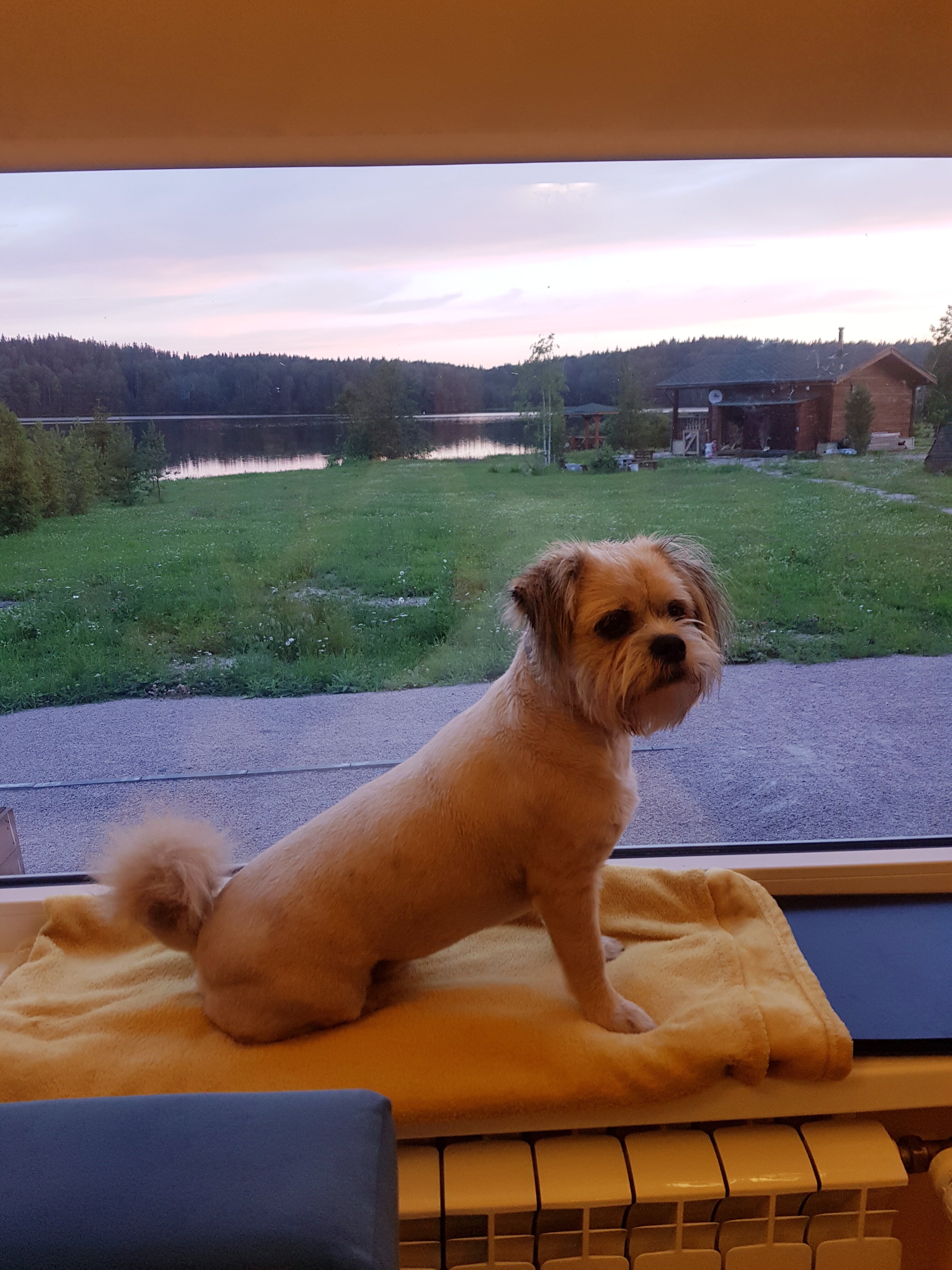 Фото Семейный дом