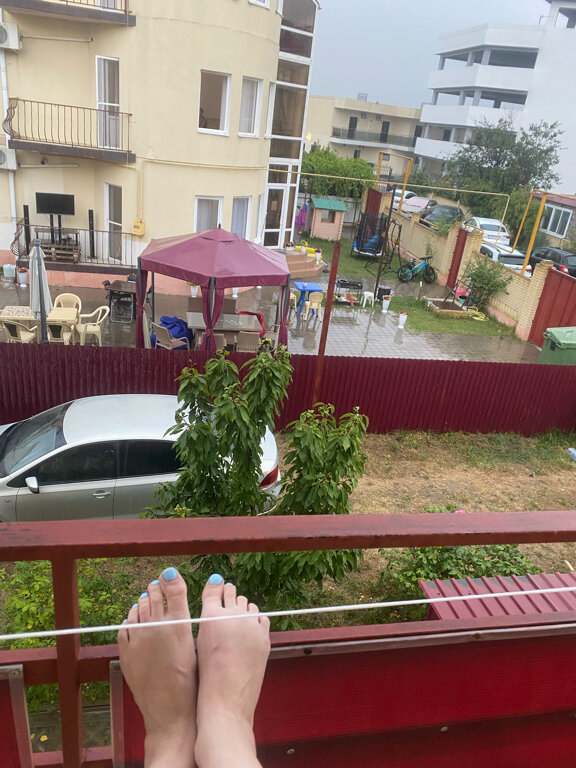 Фото Розовый сад