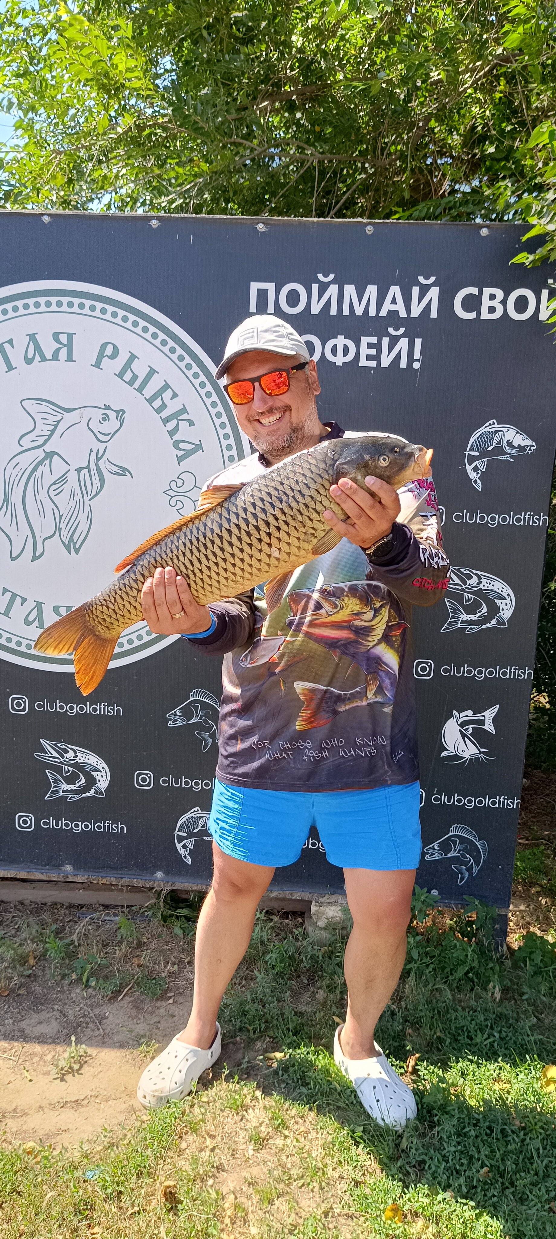 Фото Золотая рыбка