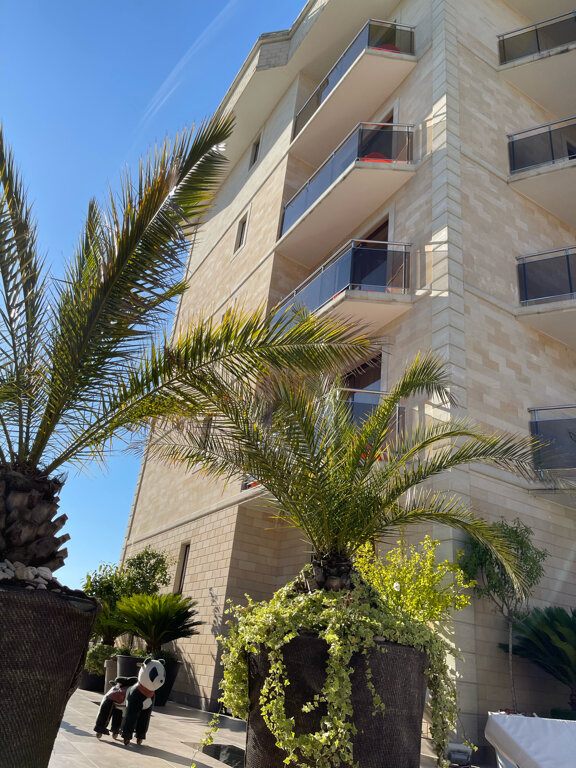 Фото Цитрус