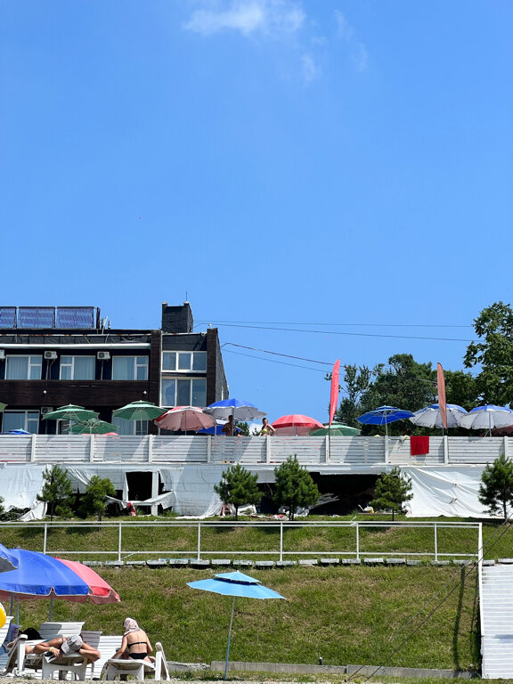 Фото Лесная поляна