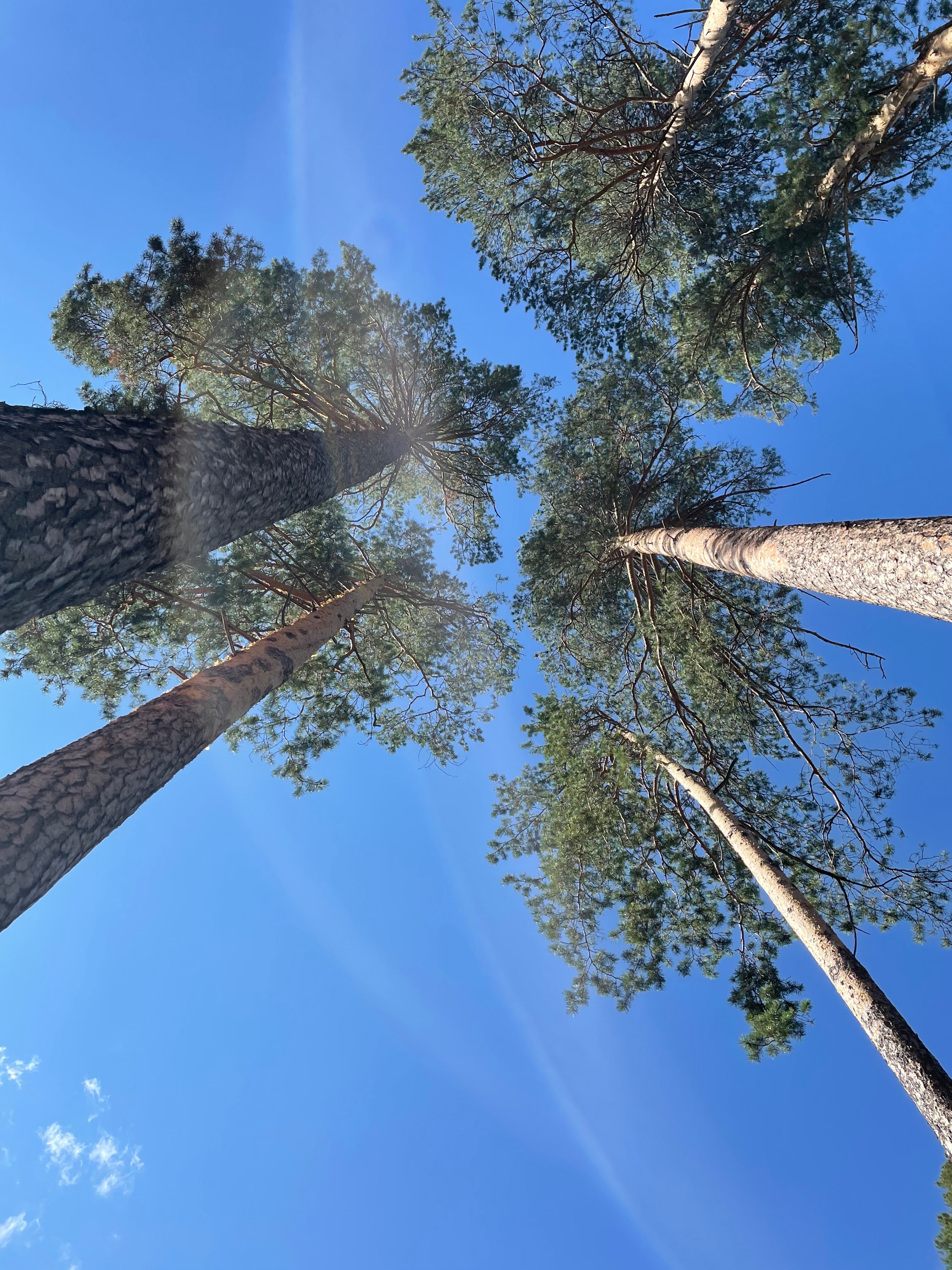 Фото VinderVillage