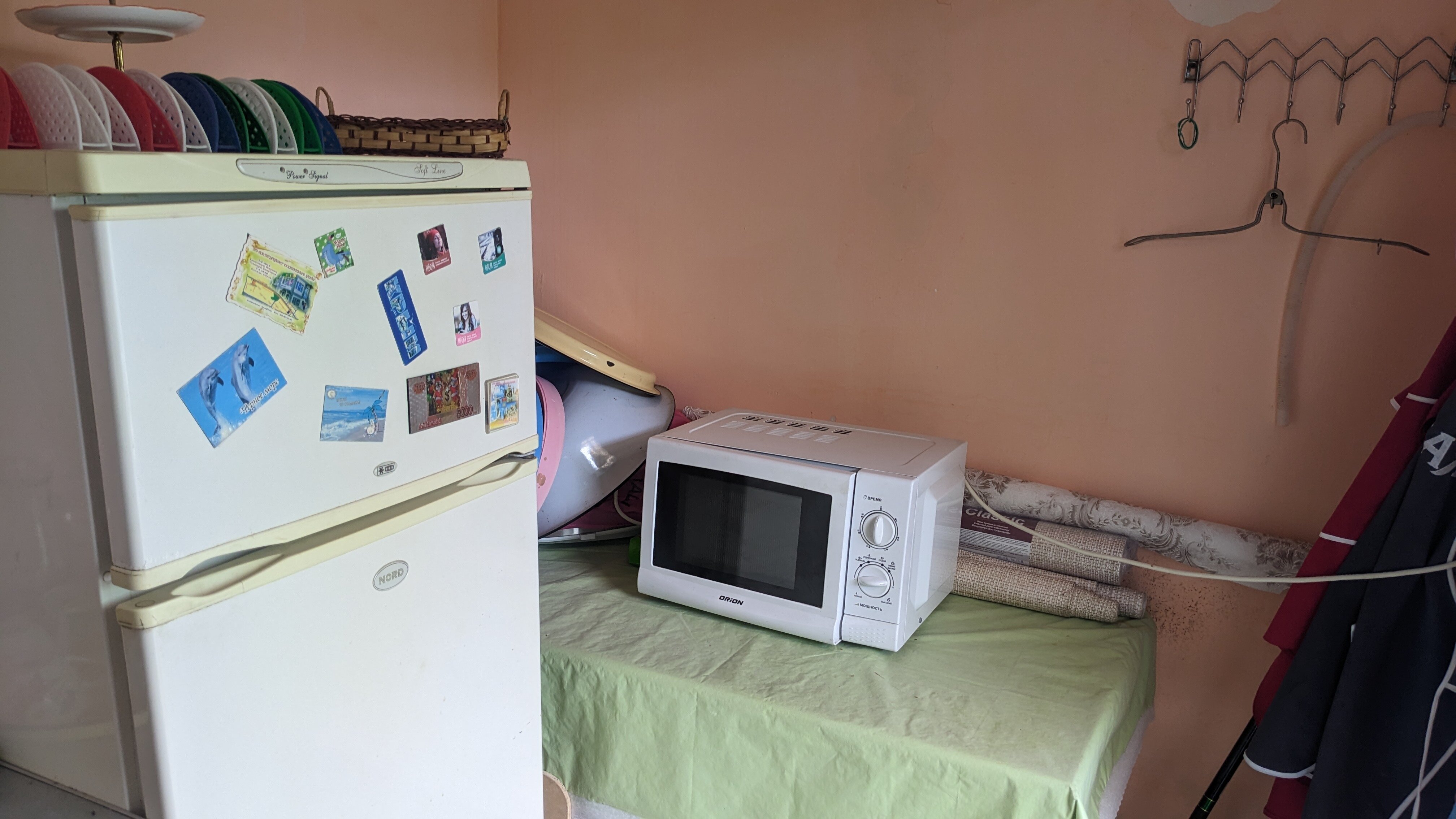 Фото Сильвия