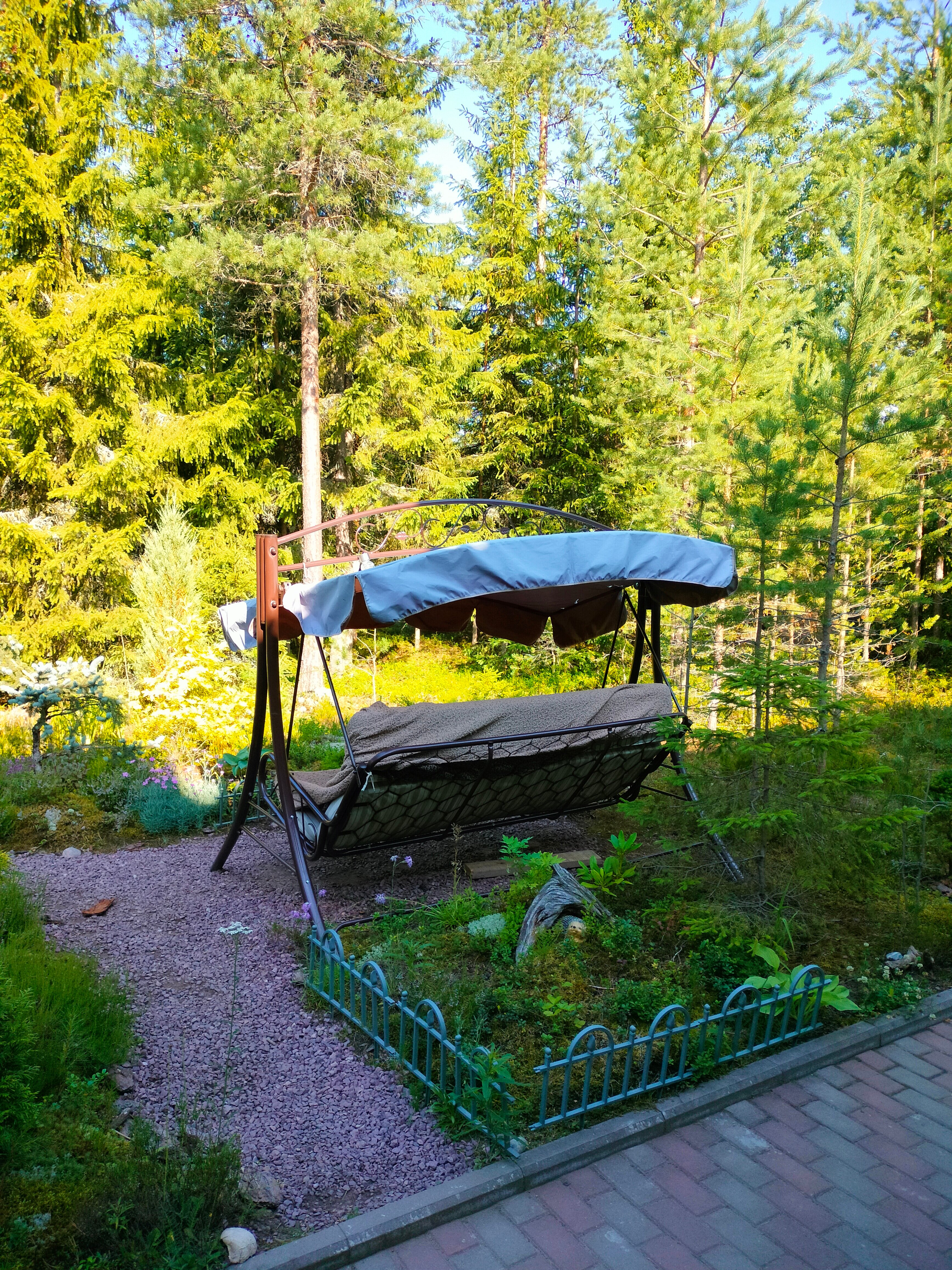 Фото Хвойный