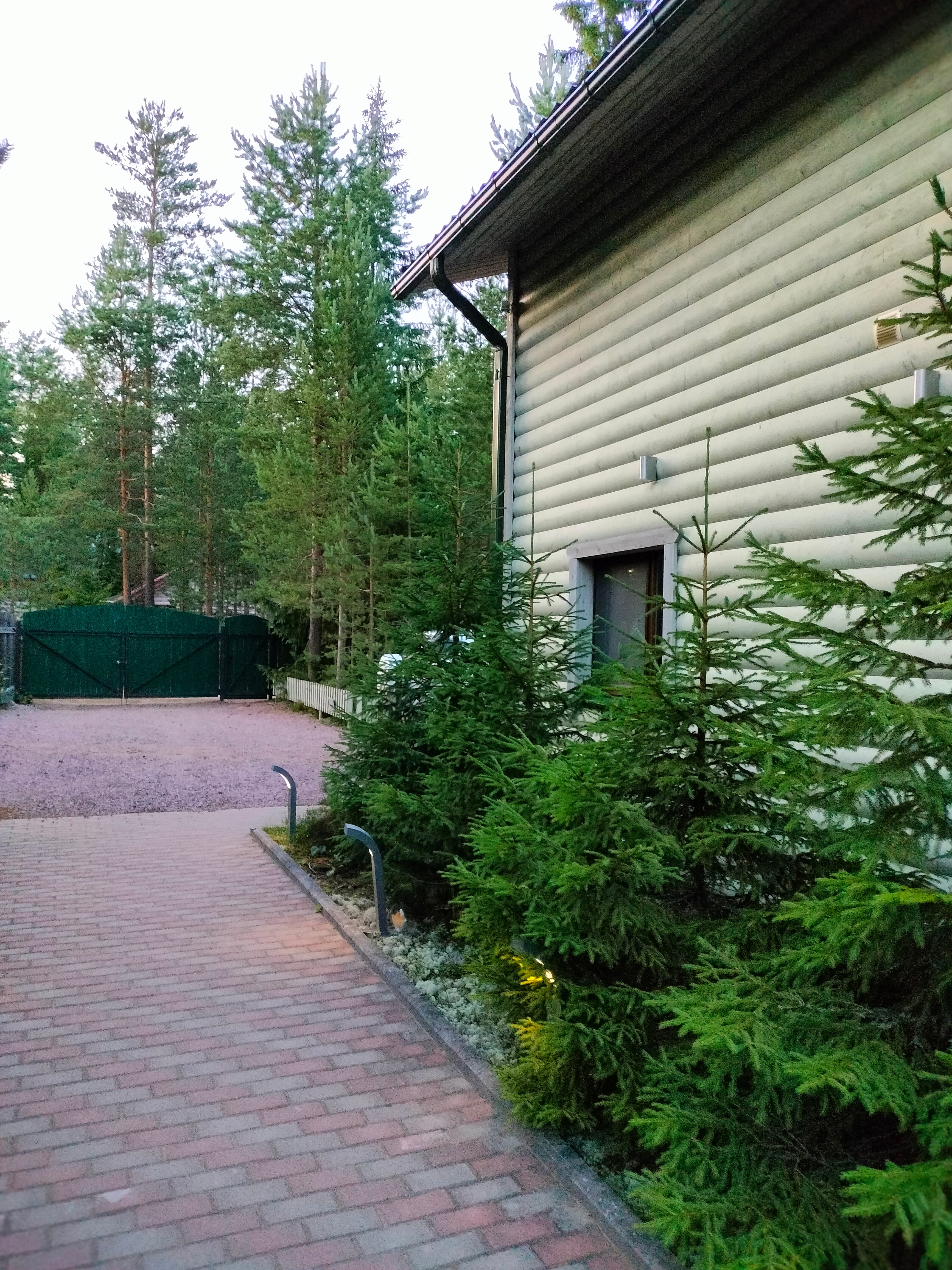 Фото Хвойный