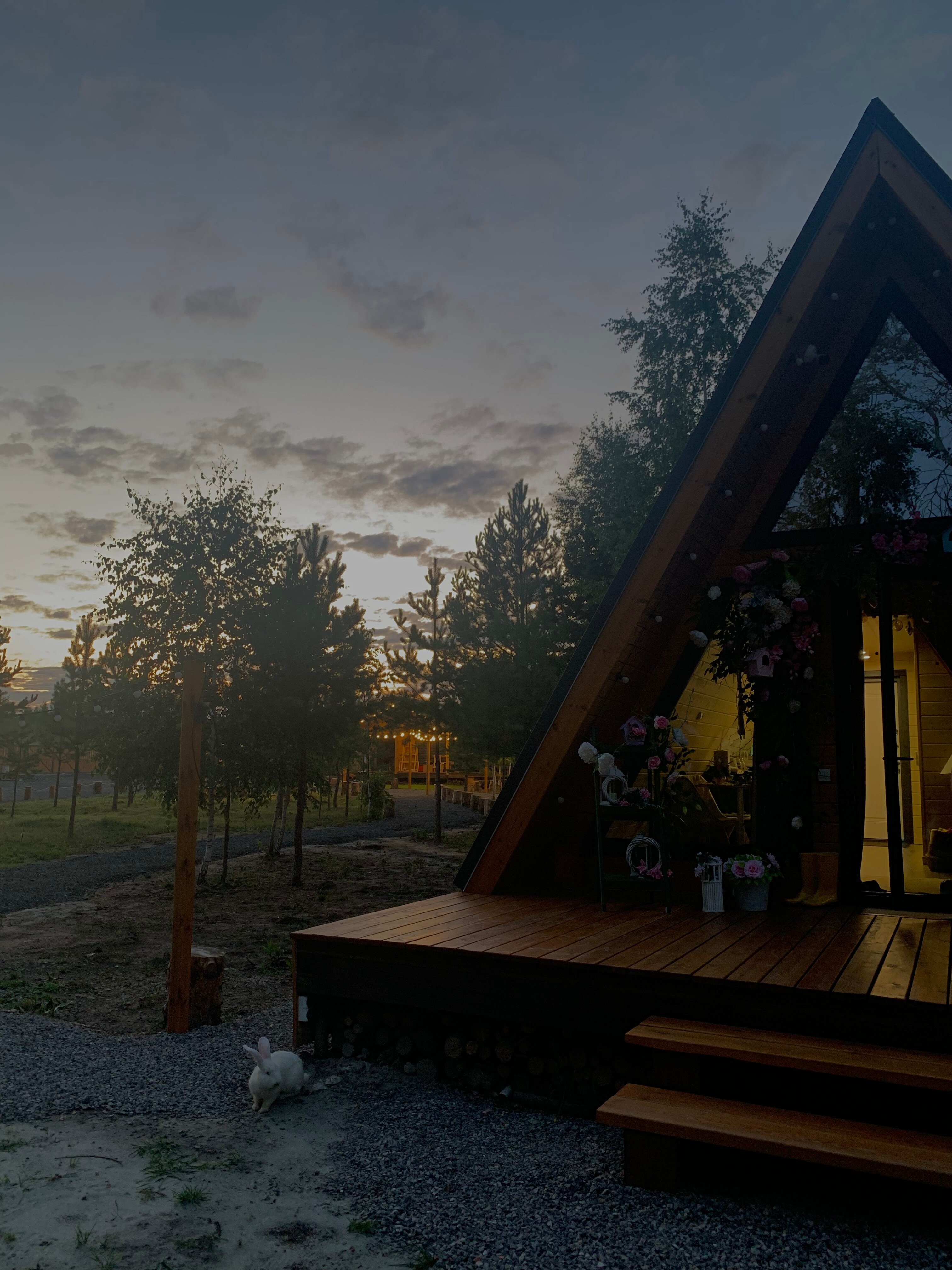 Фото Live Drive Village