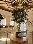 Terra (Gertsena Street, 12), coffee shop