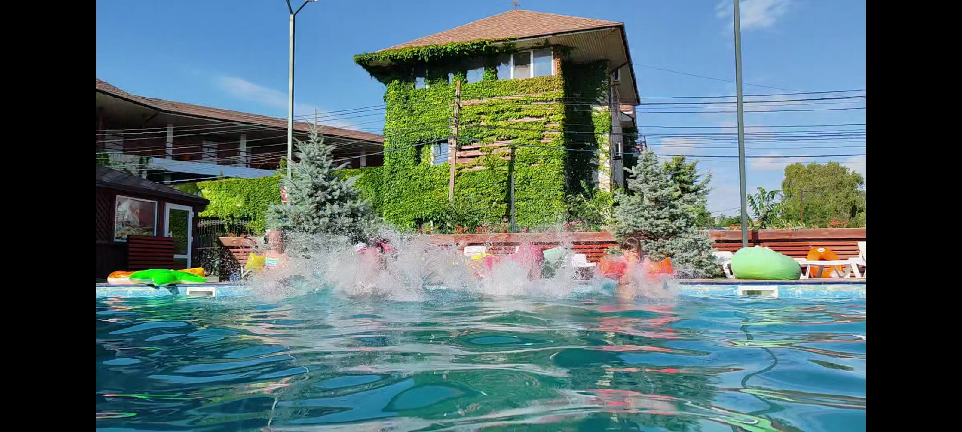 Фото Квитка