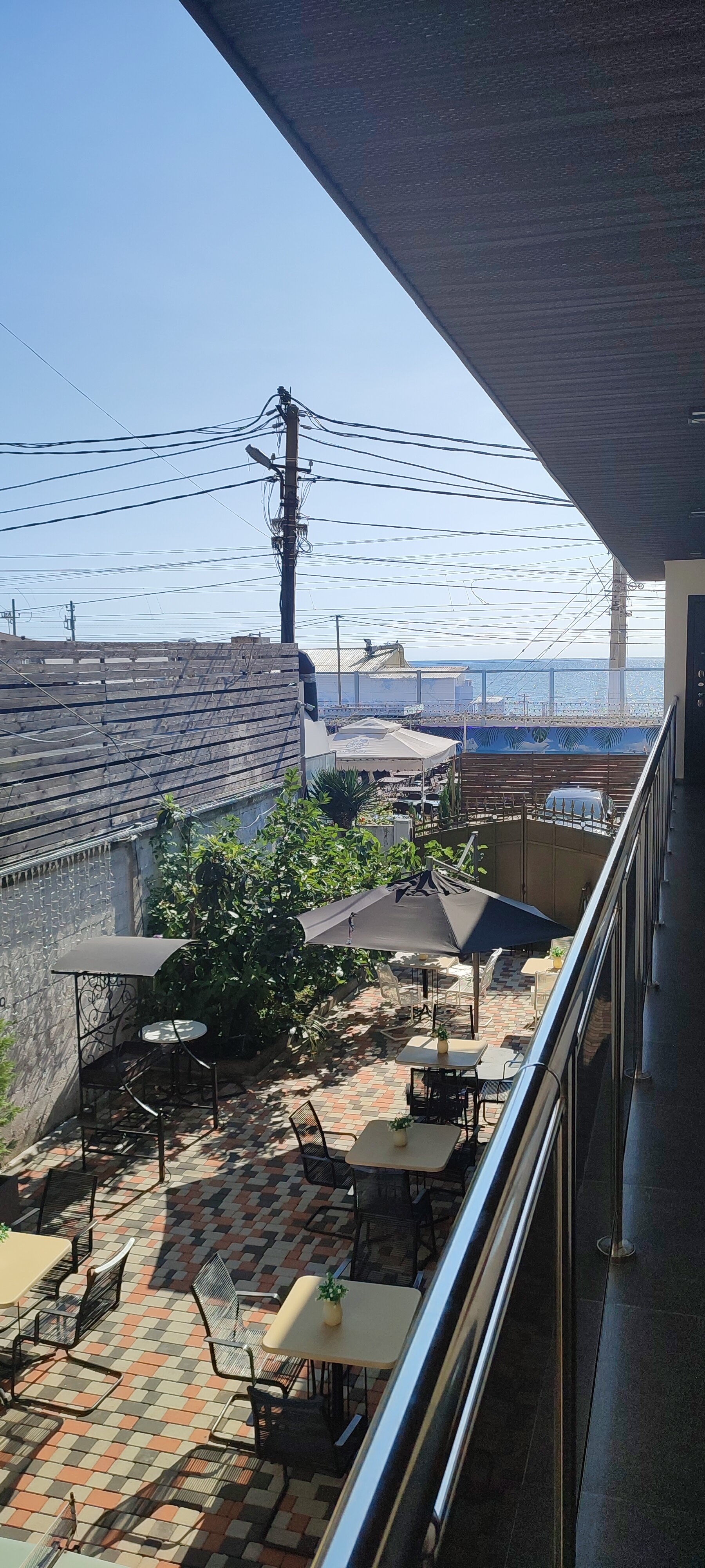 Фото Леонардо