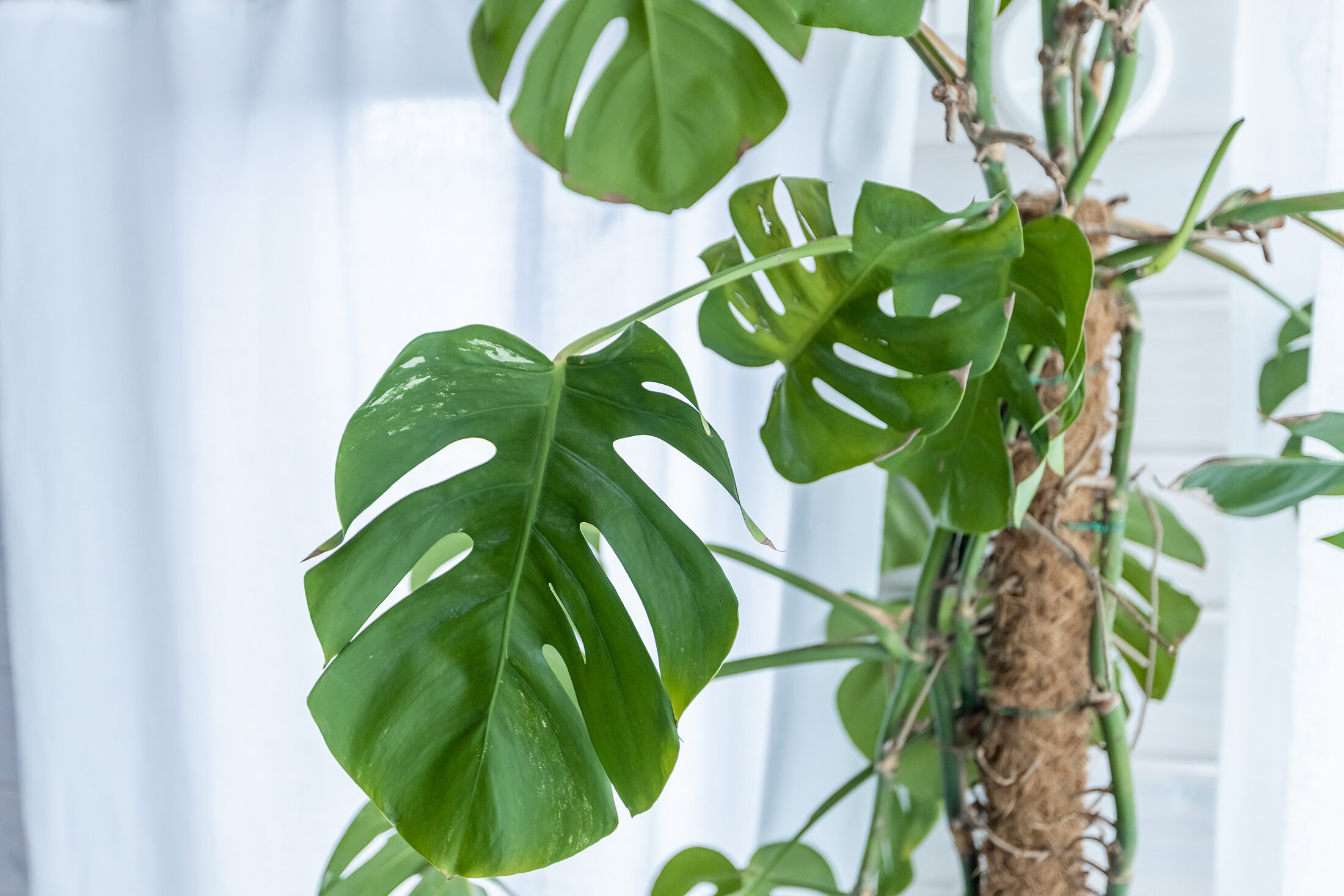 Фото Пещерки