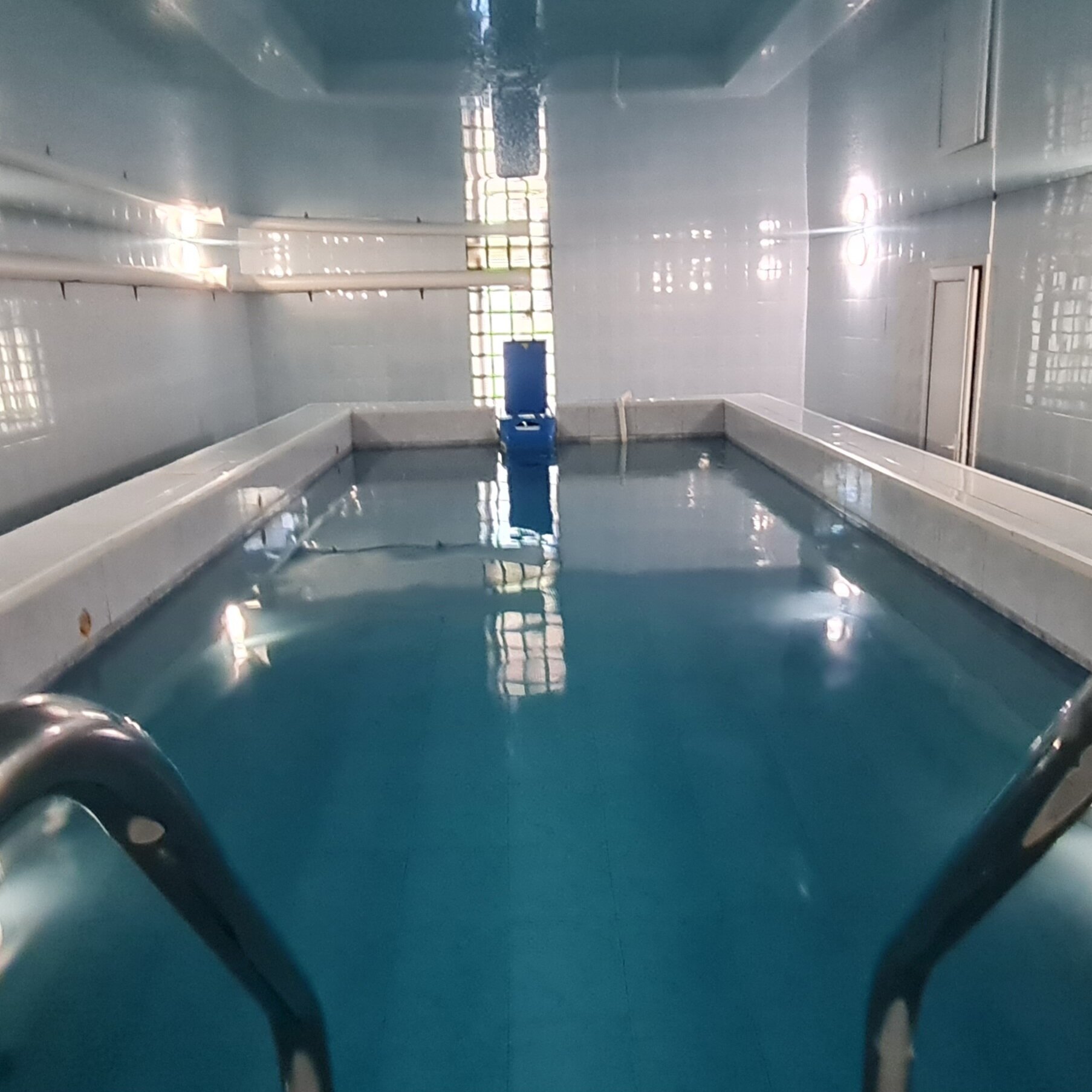 Фото Амилия