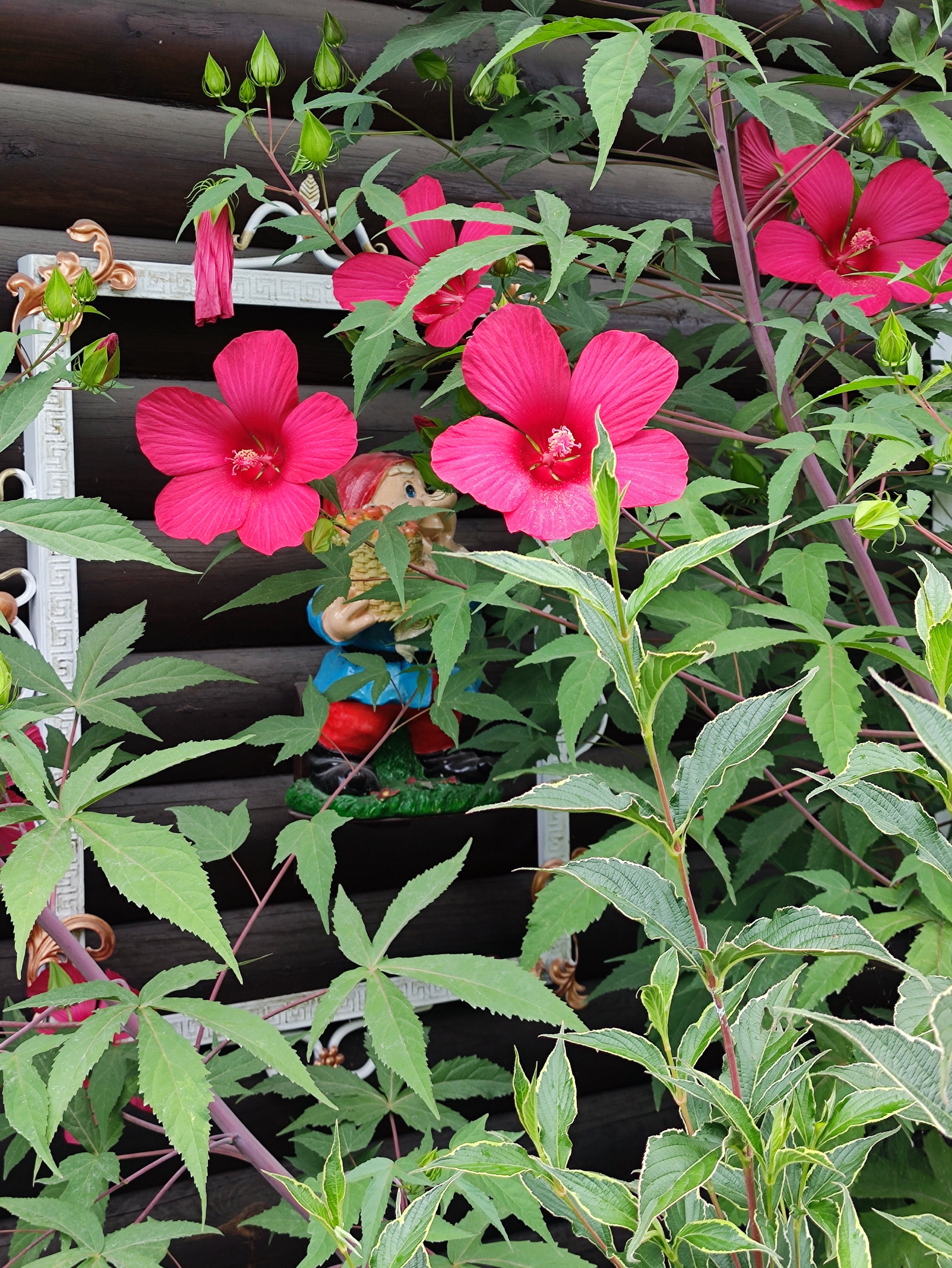 Фото Домовенок