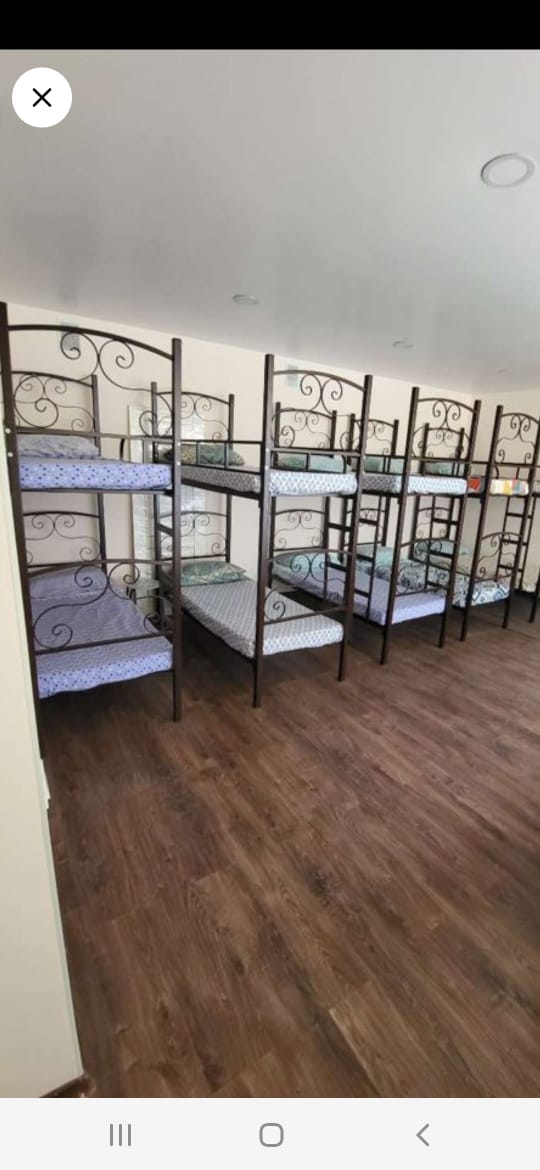 Фото Домашний