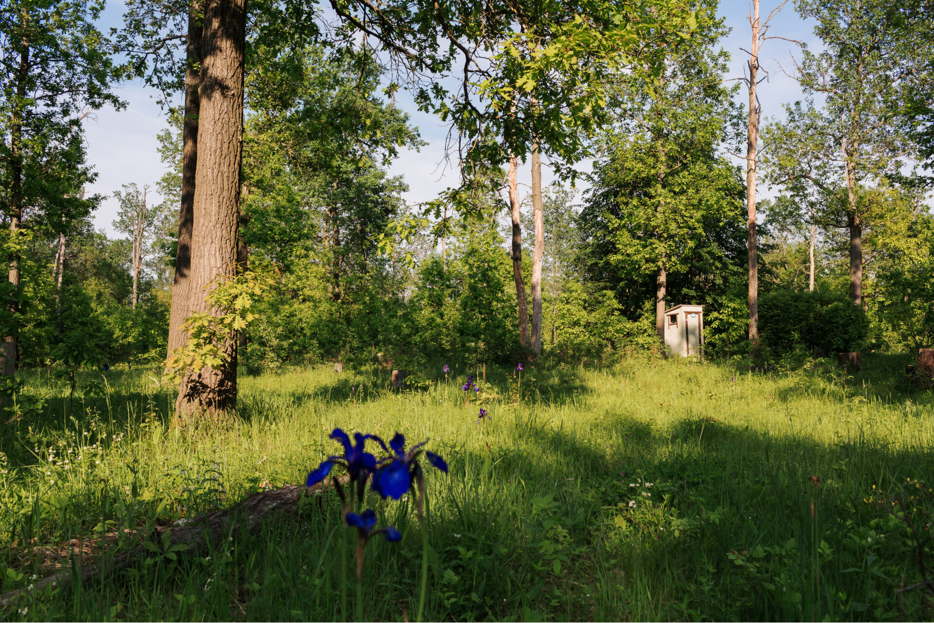 Фото Природно-туристический комплекс Юхро