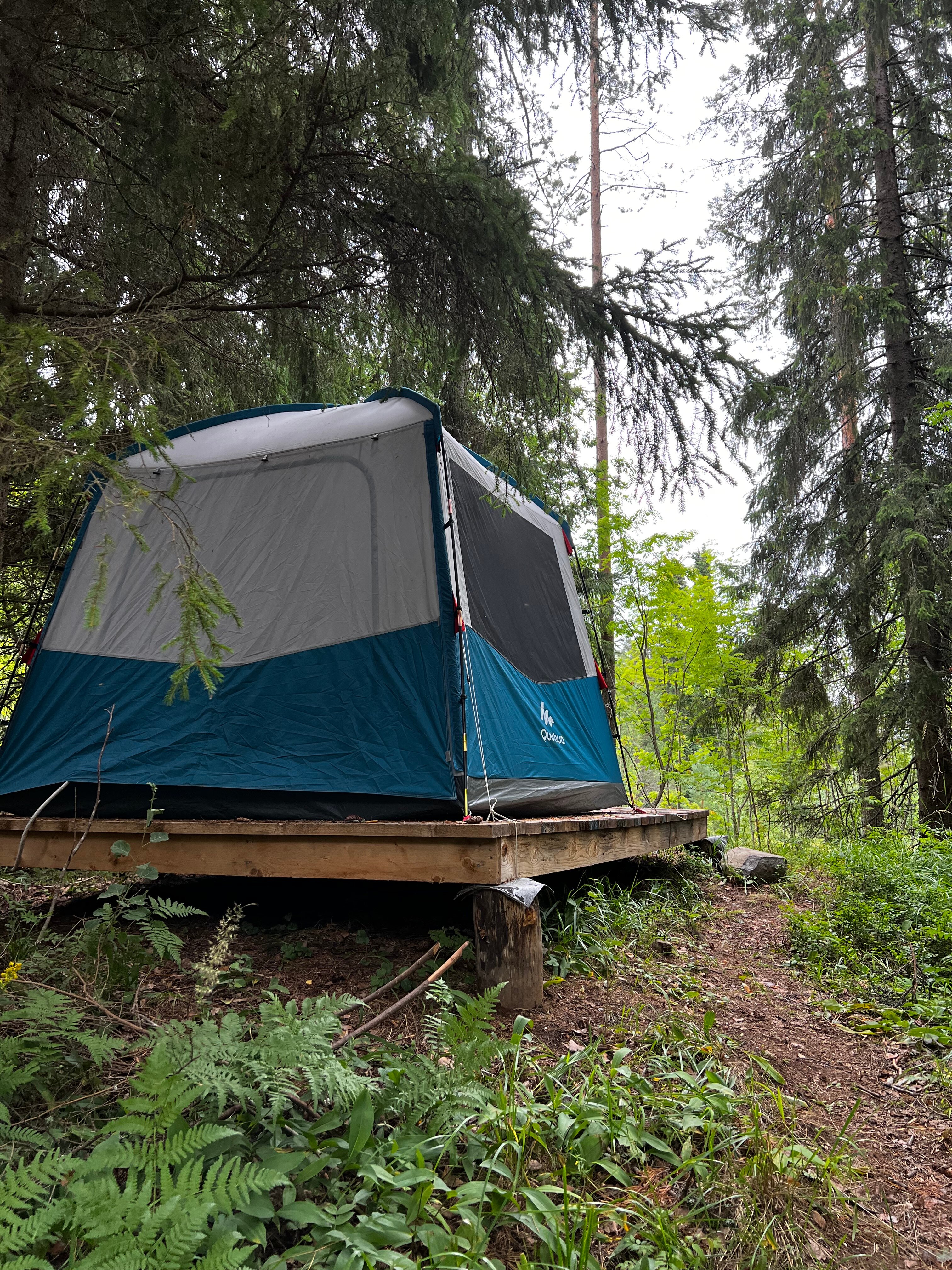 Фото Котопельто