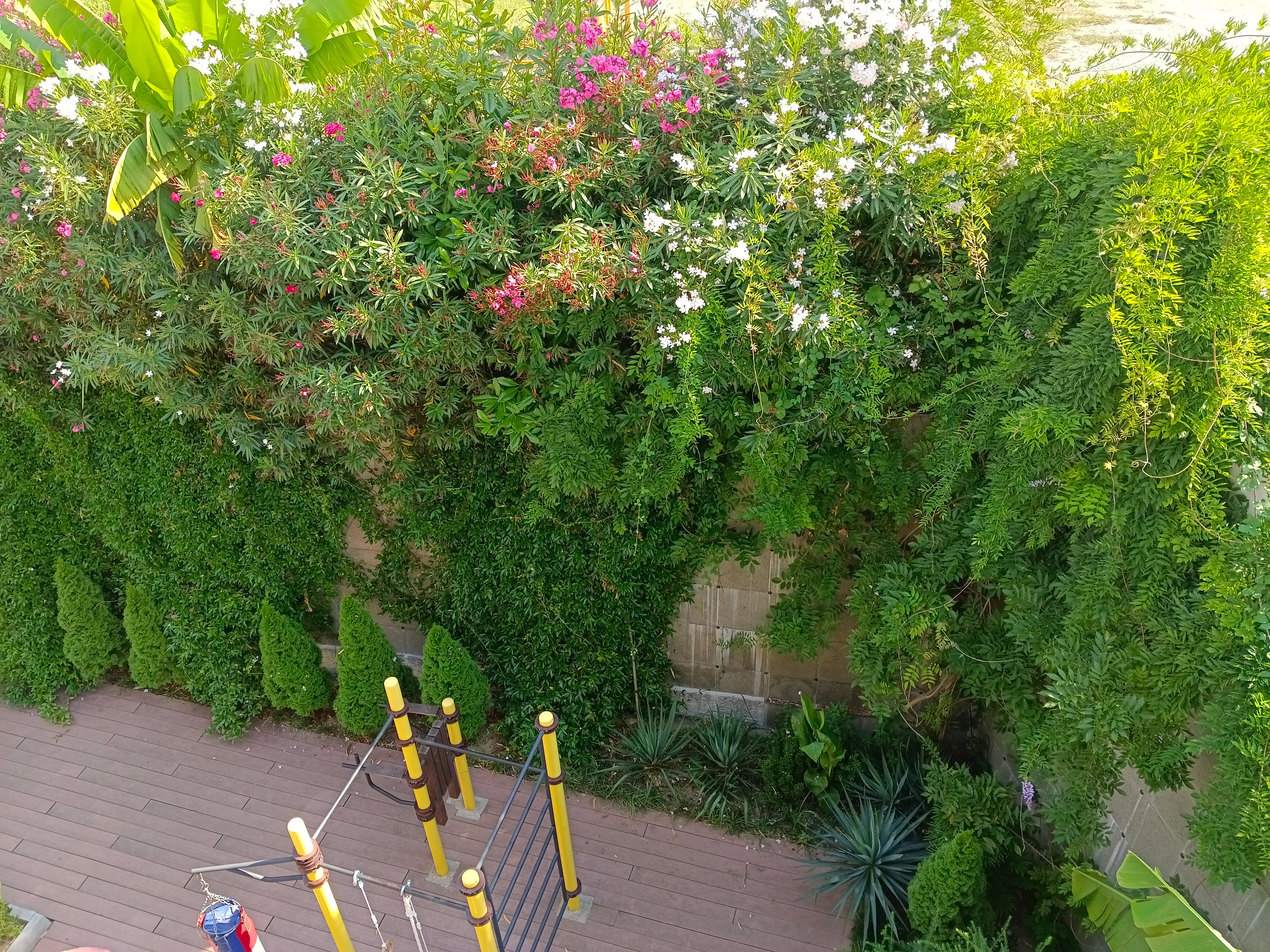 Фото Лооfкий