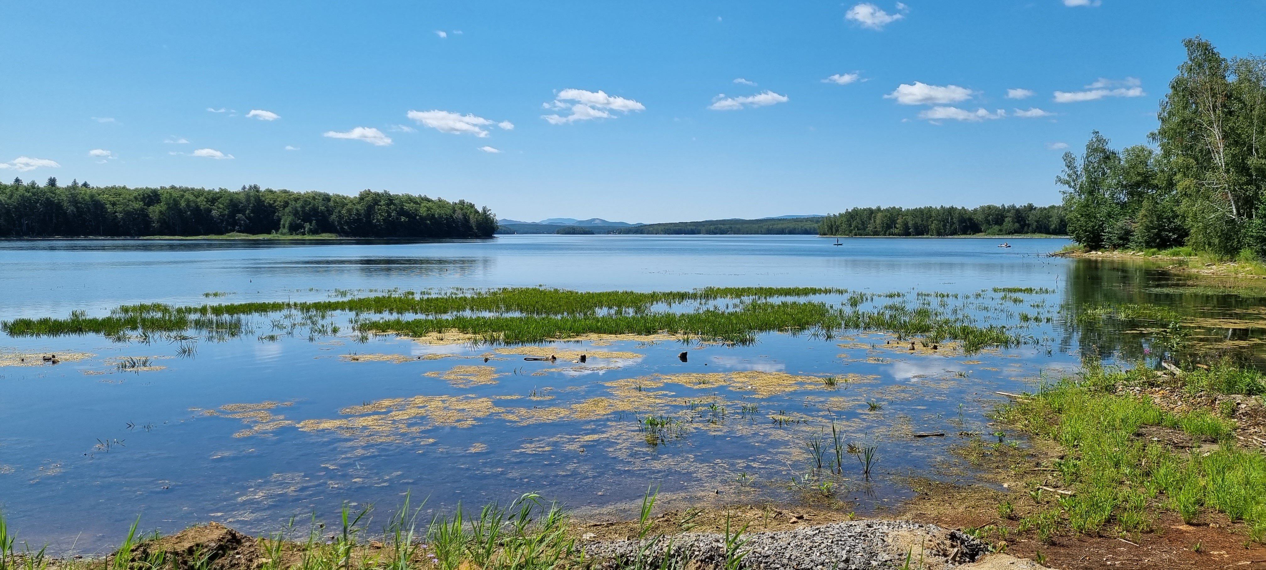 Фото Светлячок
