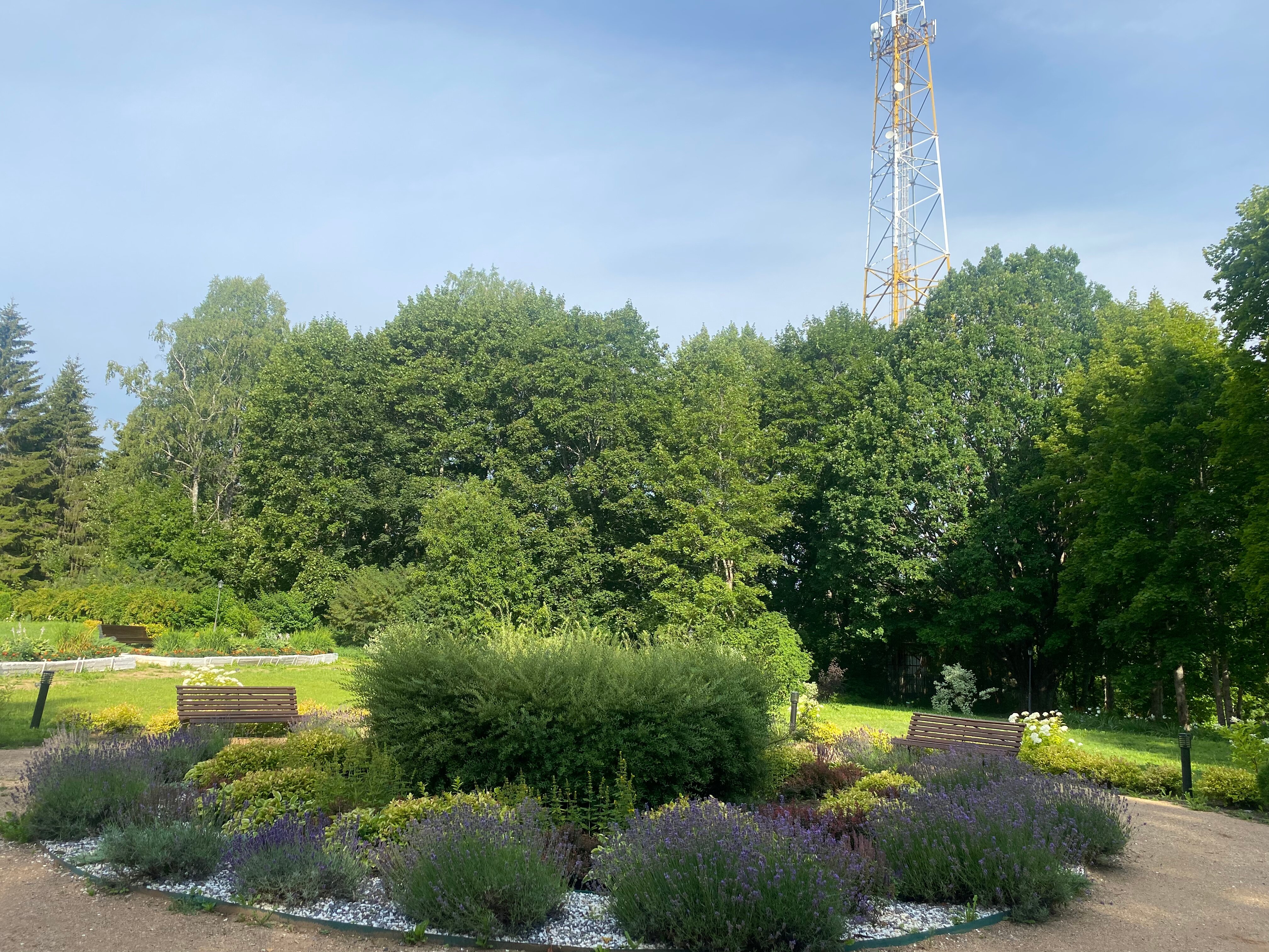 Фото Селигер Палас