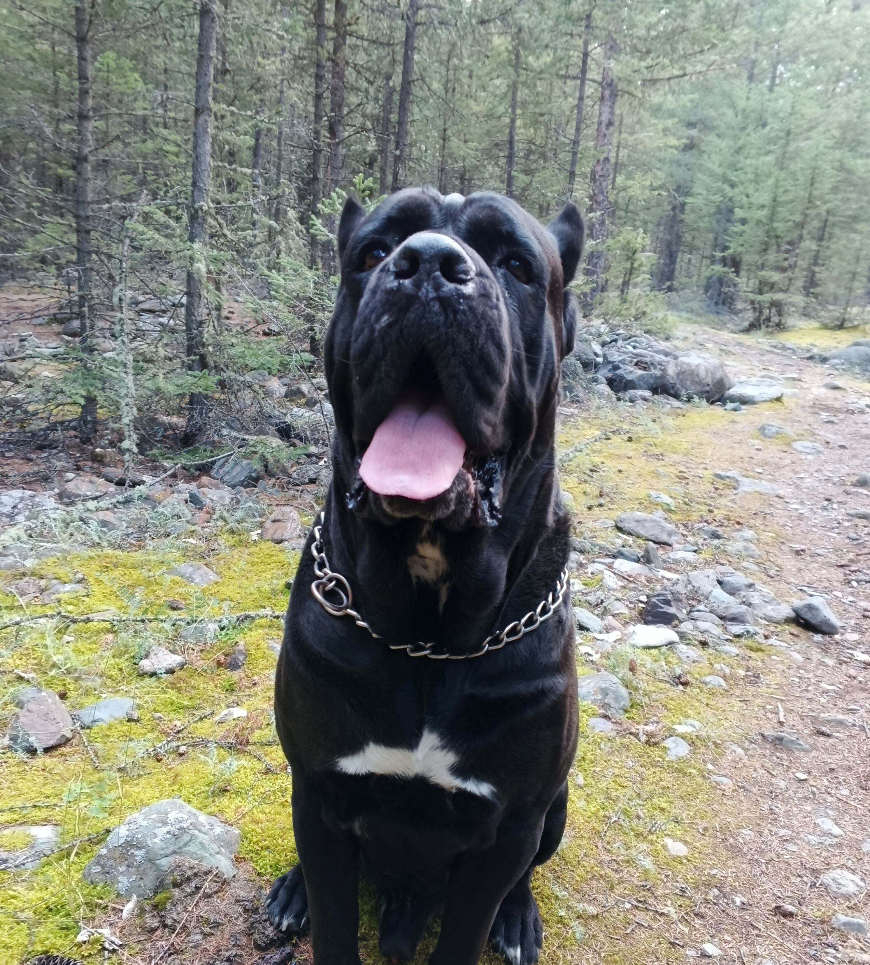 Фото Белый Шум