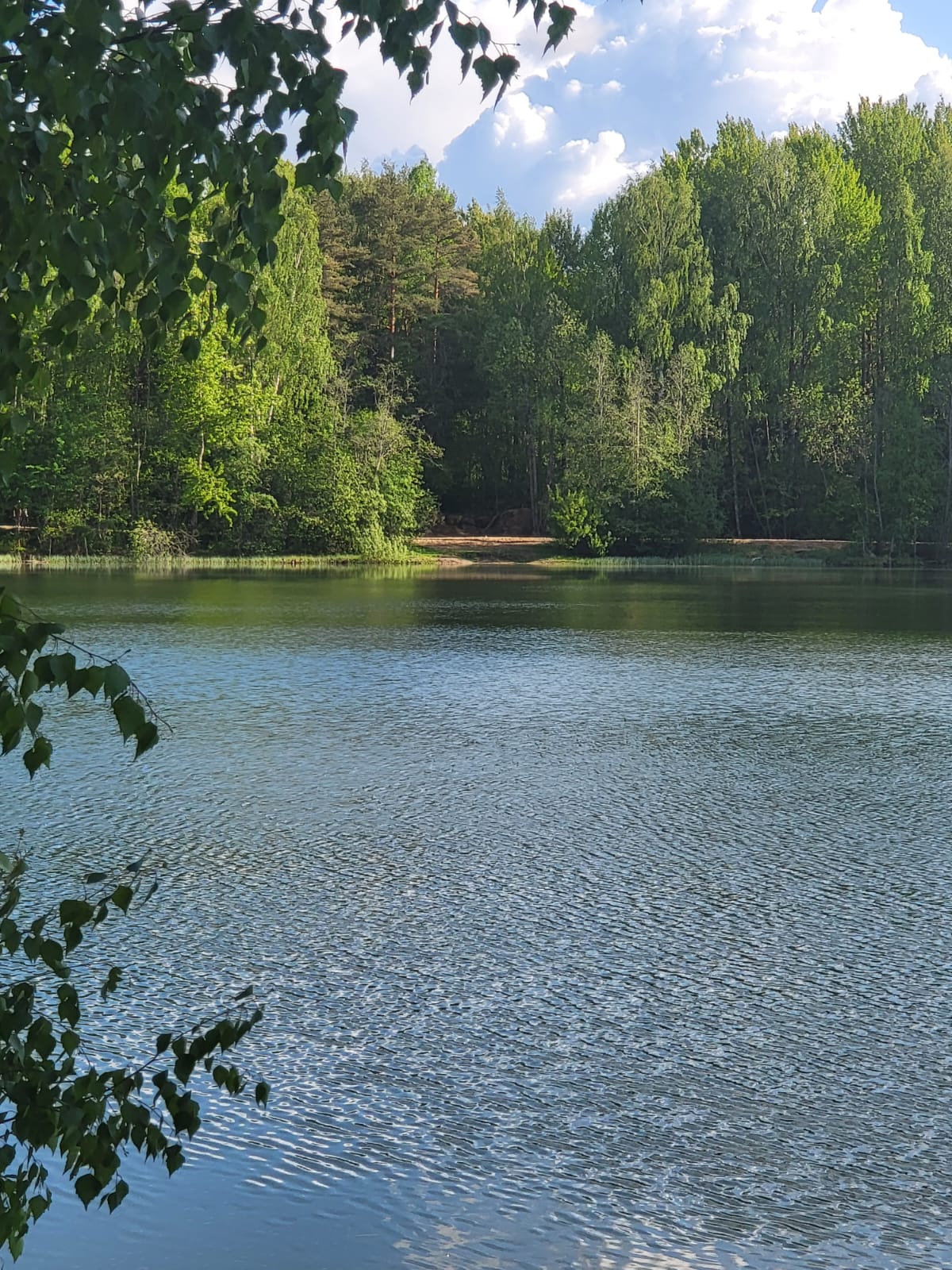 Фото Лосиный ключ