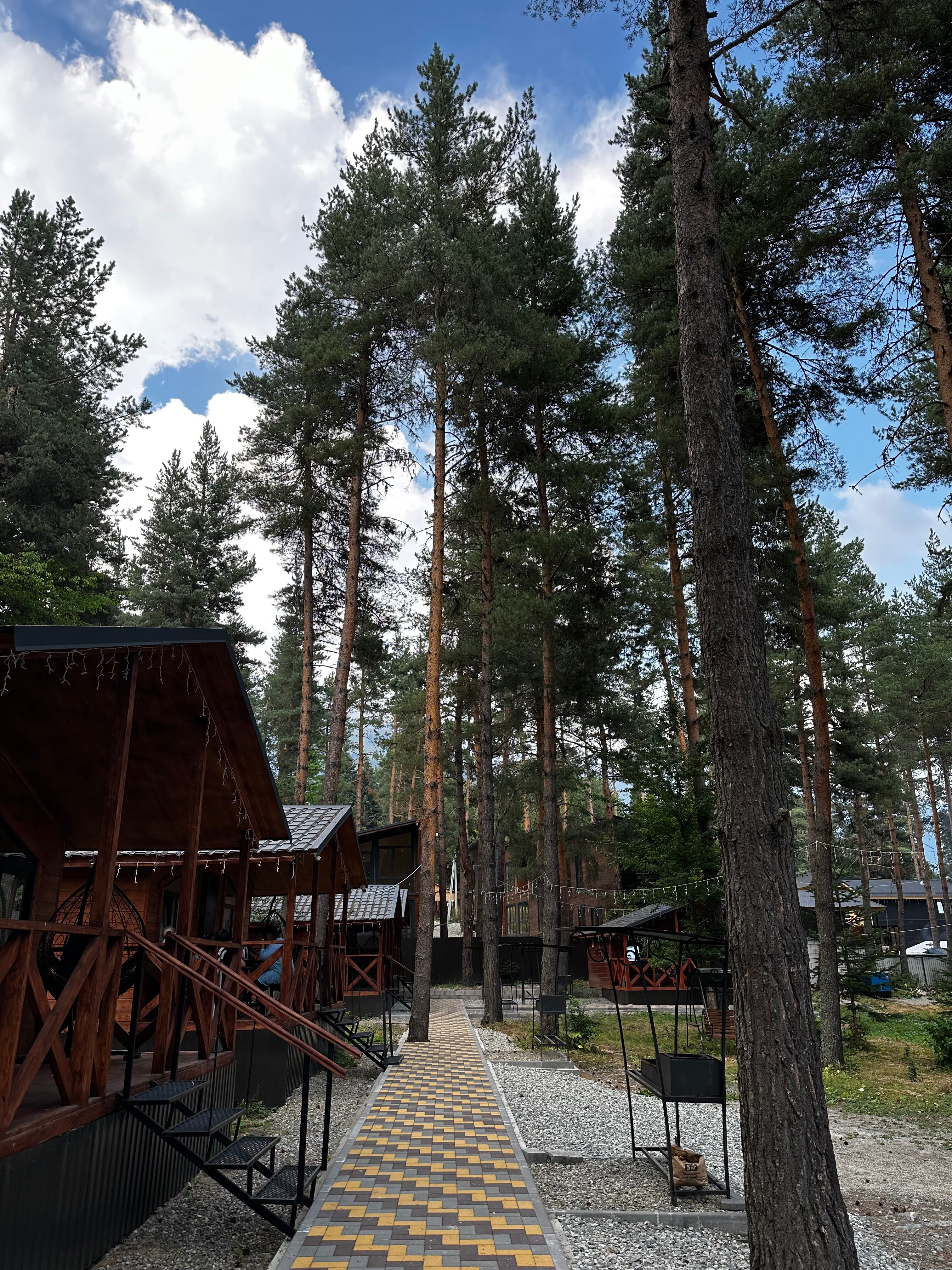 Фото Алибаба