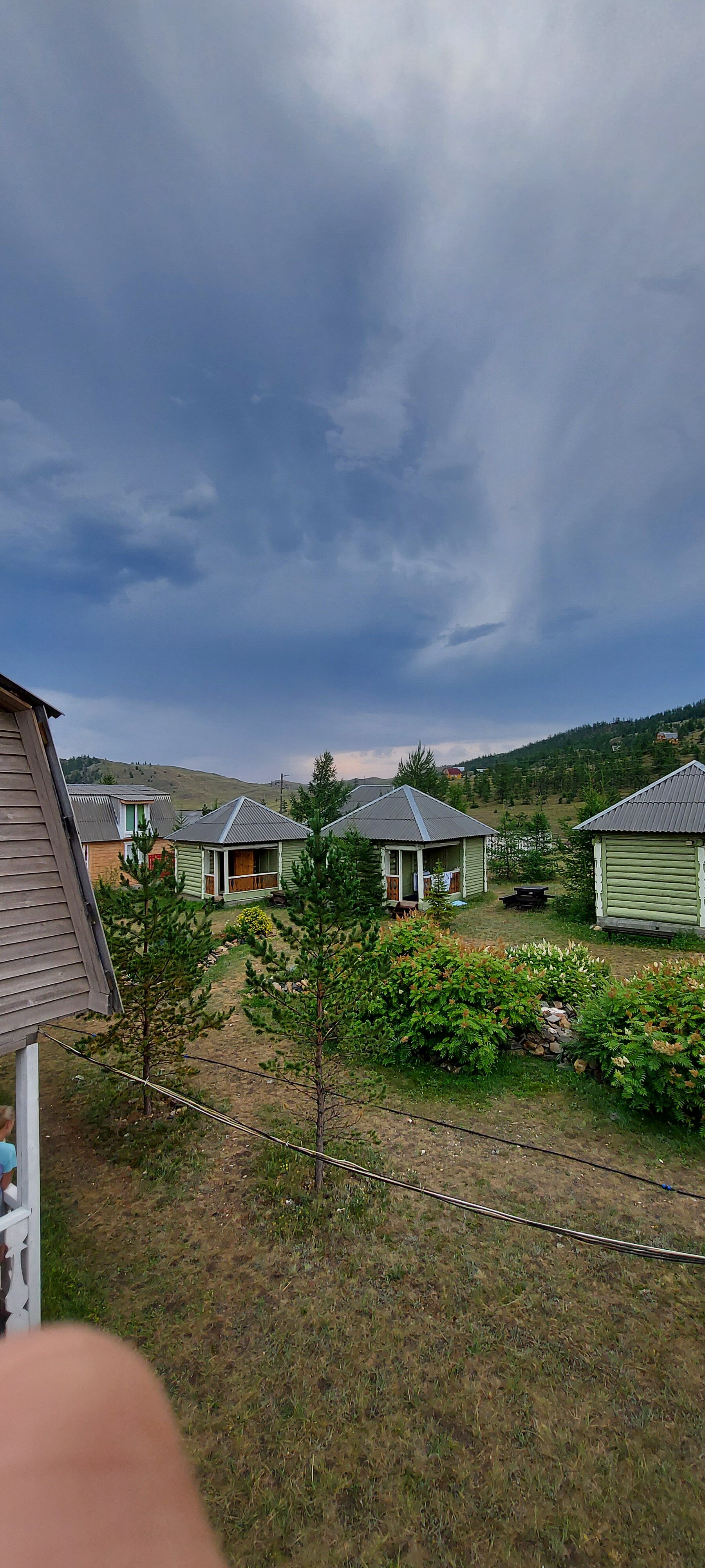 Фото Чабрец