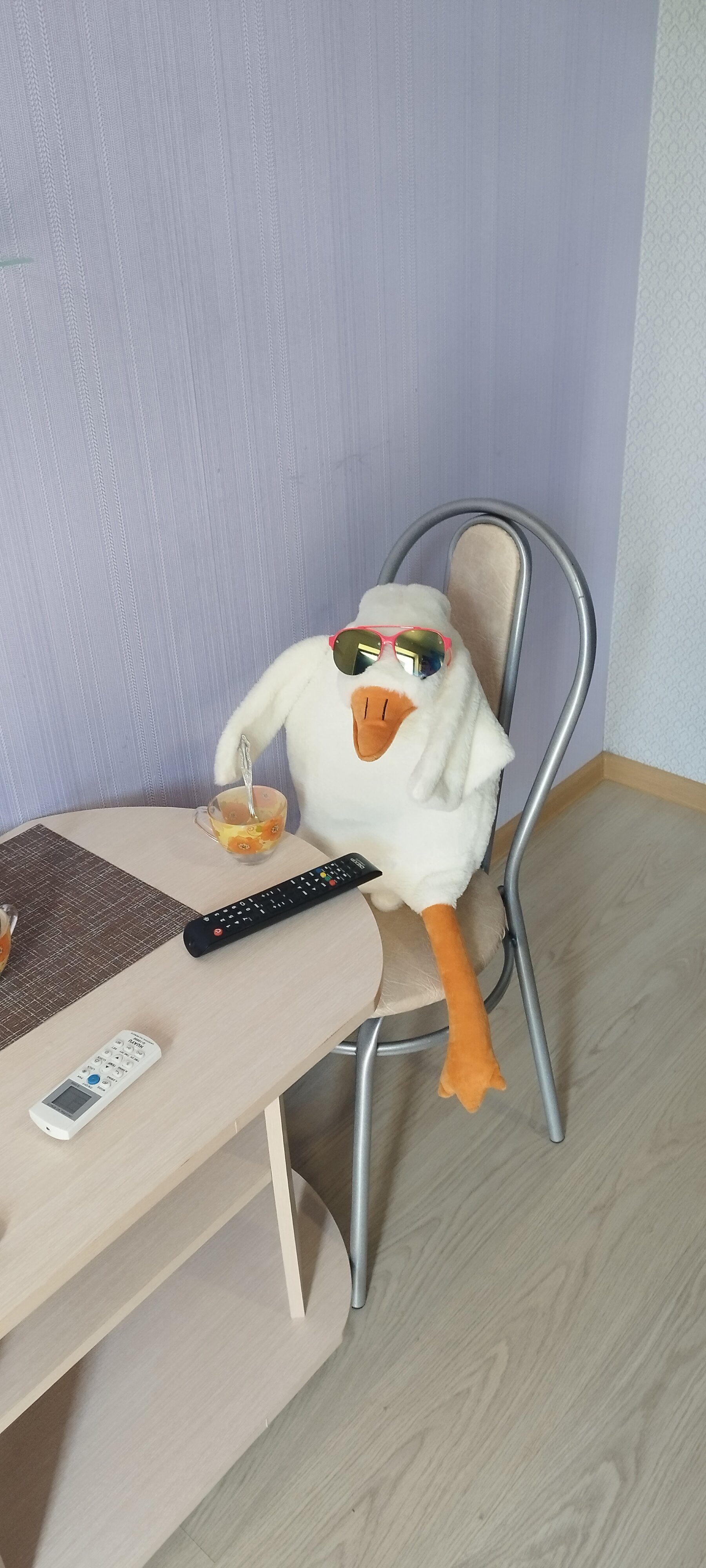 Фото Березка