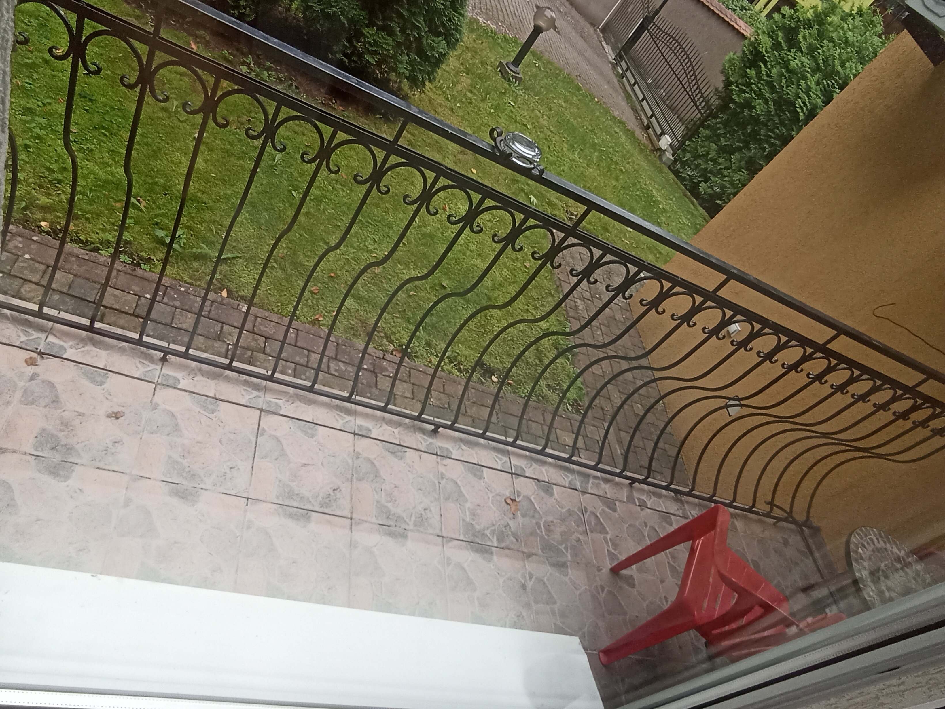 Фото Фламинго