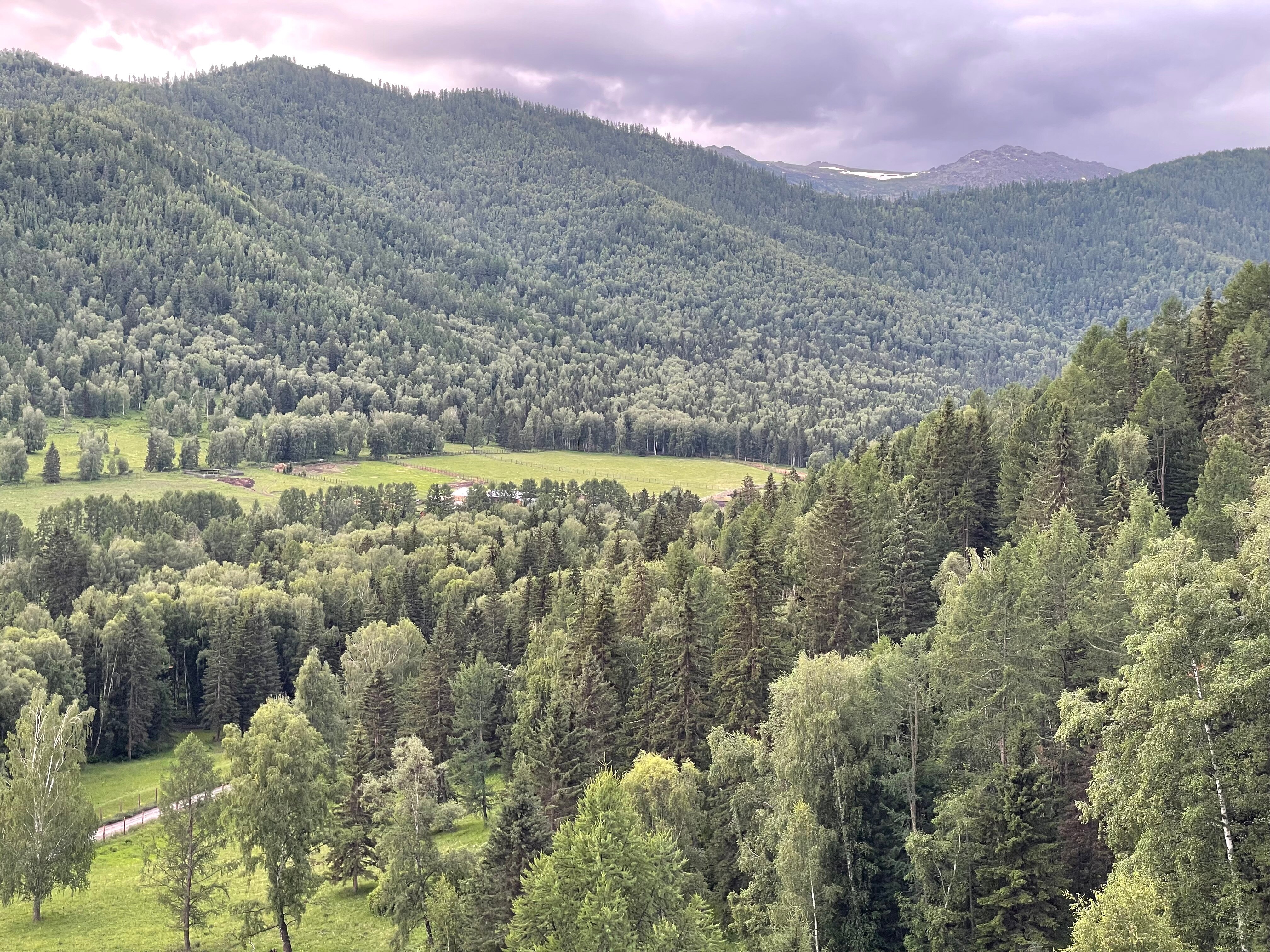 Фото Фазенда