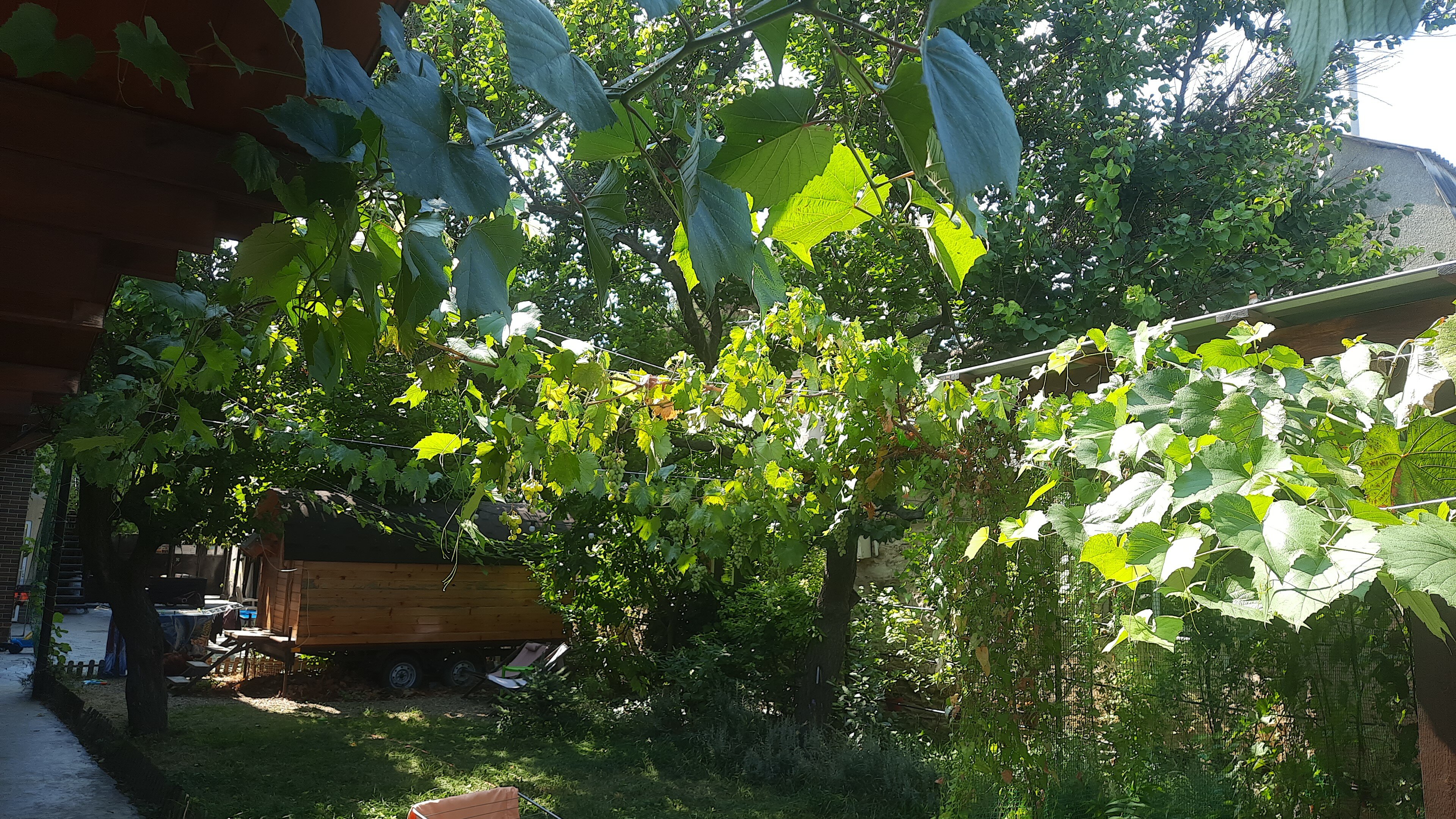 Фото ЭдиРоз