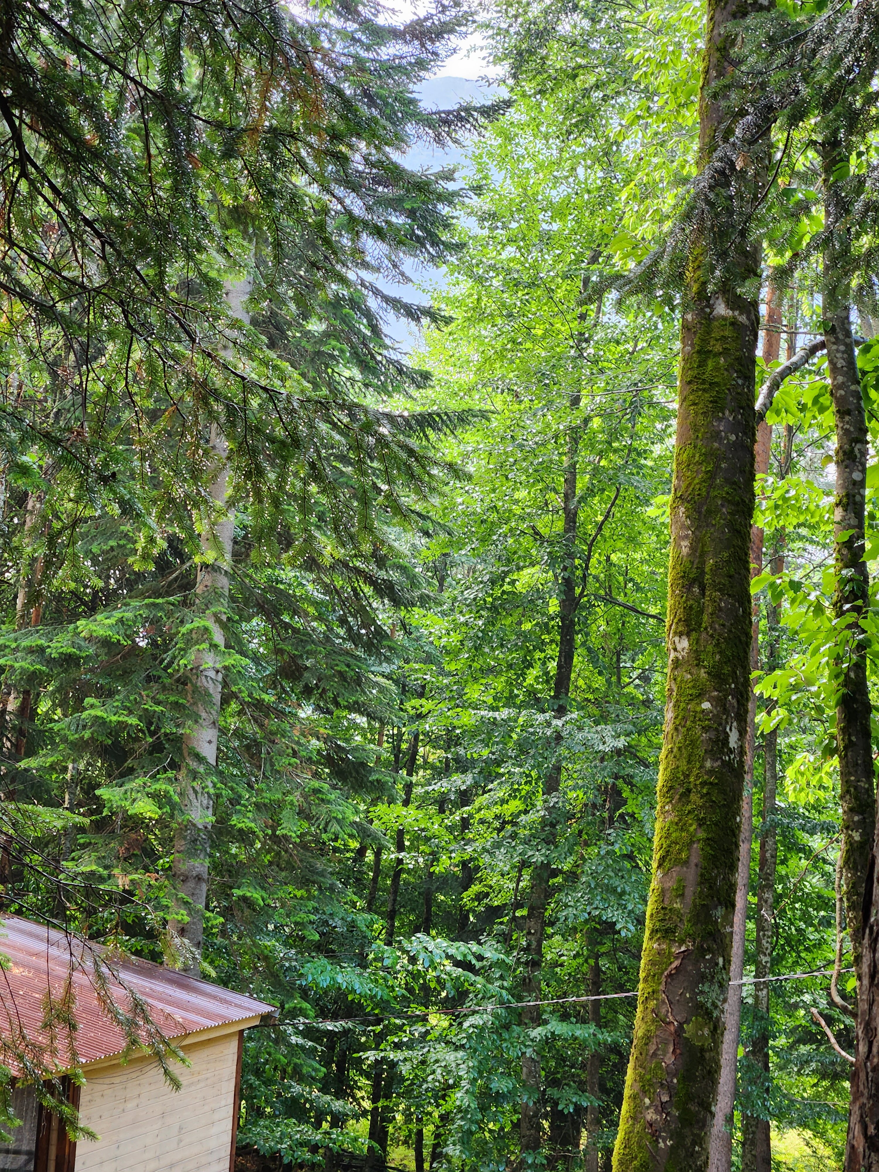 Фото Счастливые люди