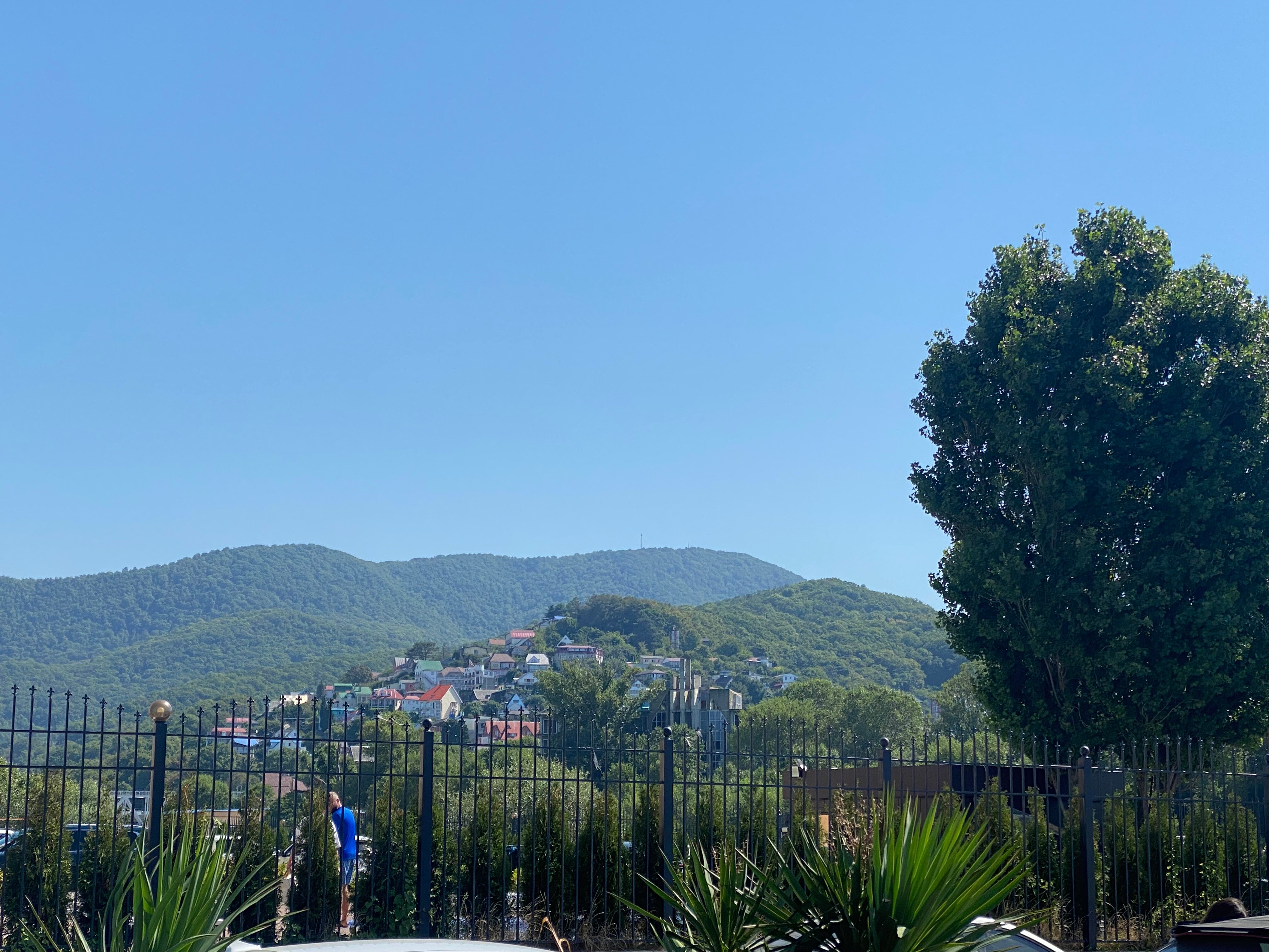 Фото Идиллия