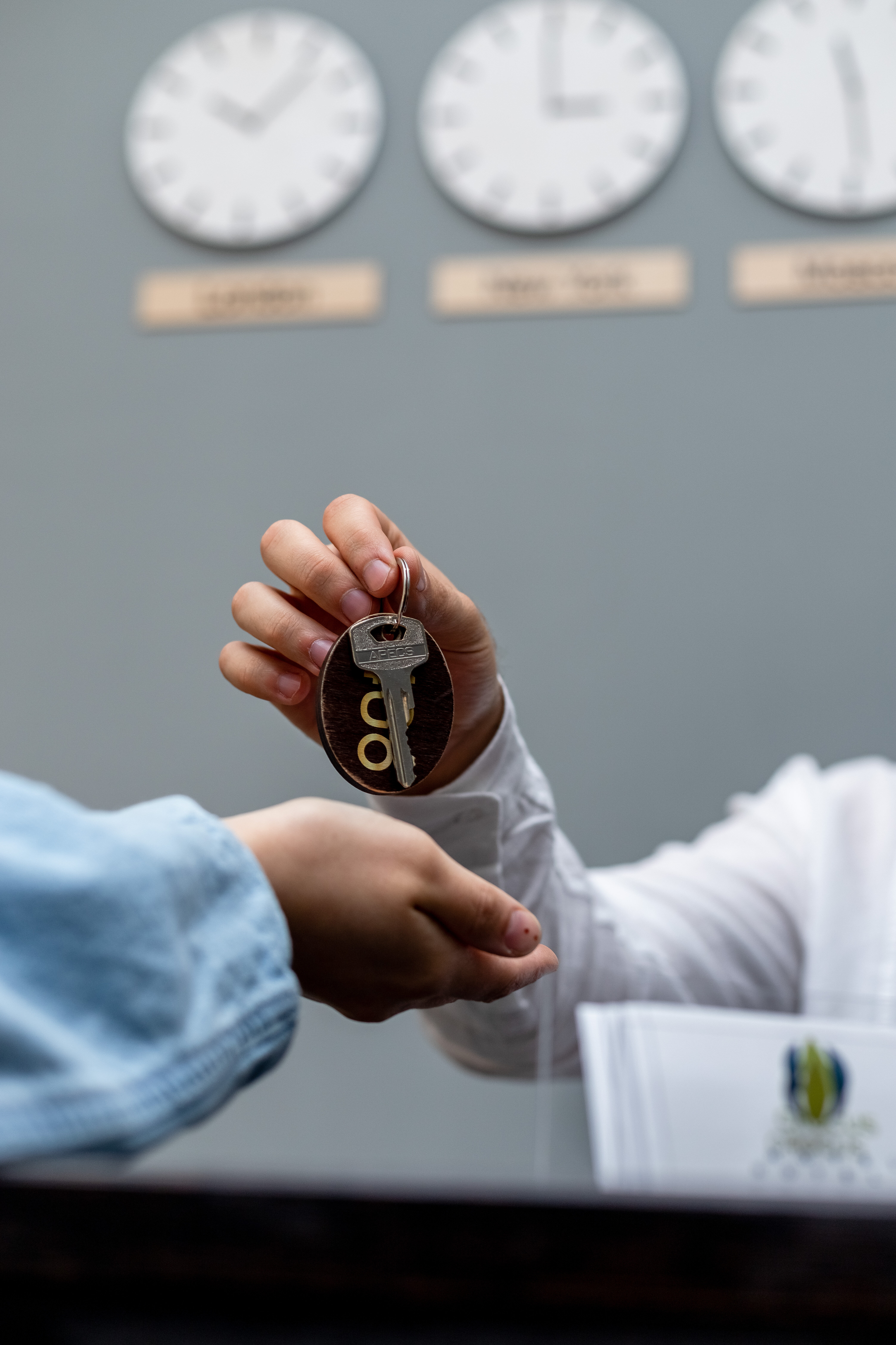 Фото Крокус