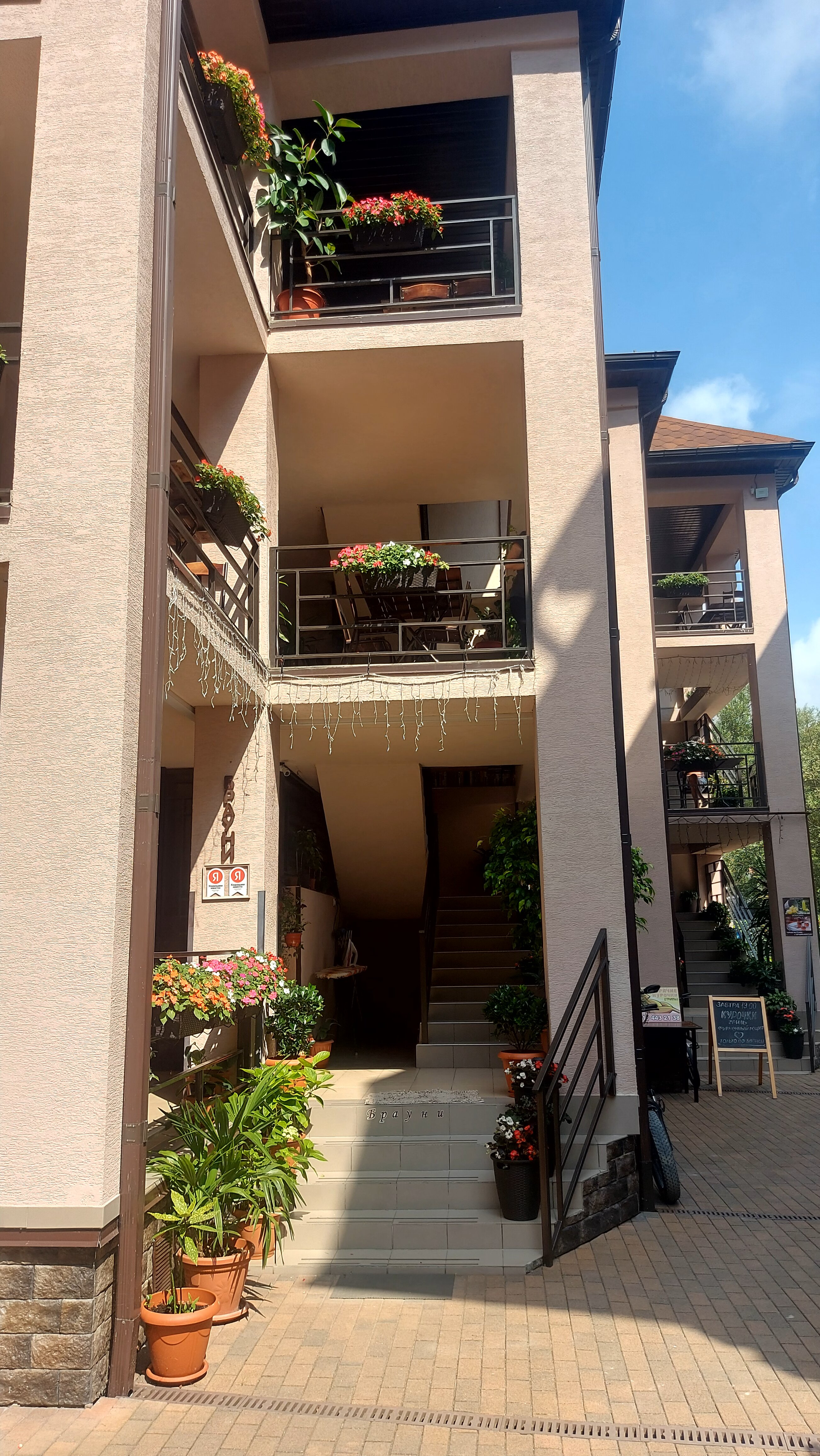 Фото Брауни