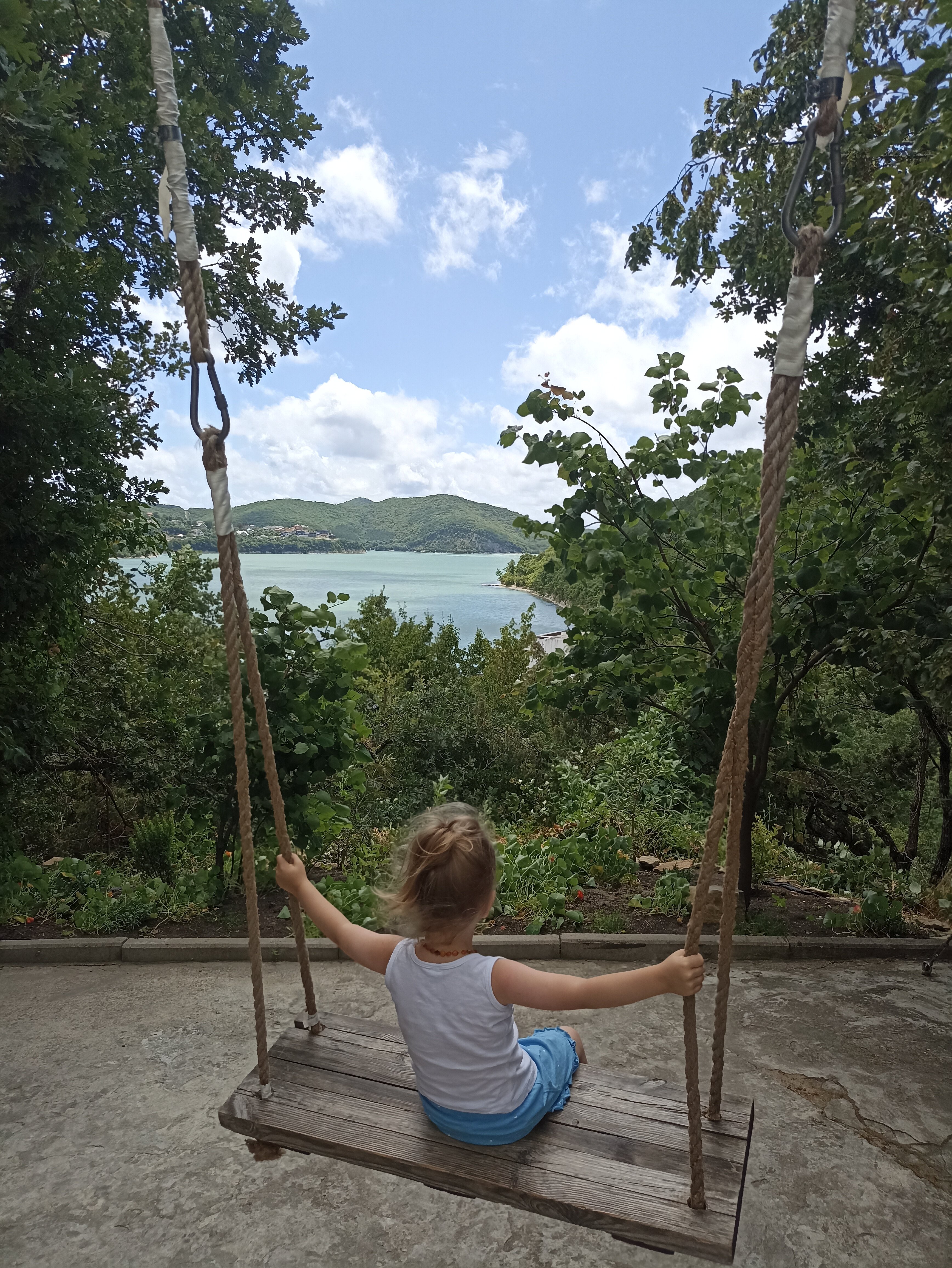 Фото Крылья