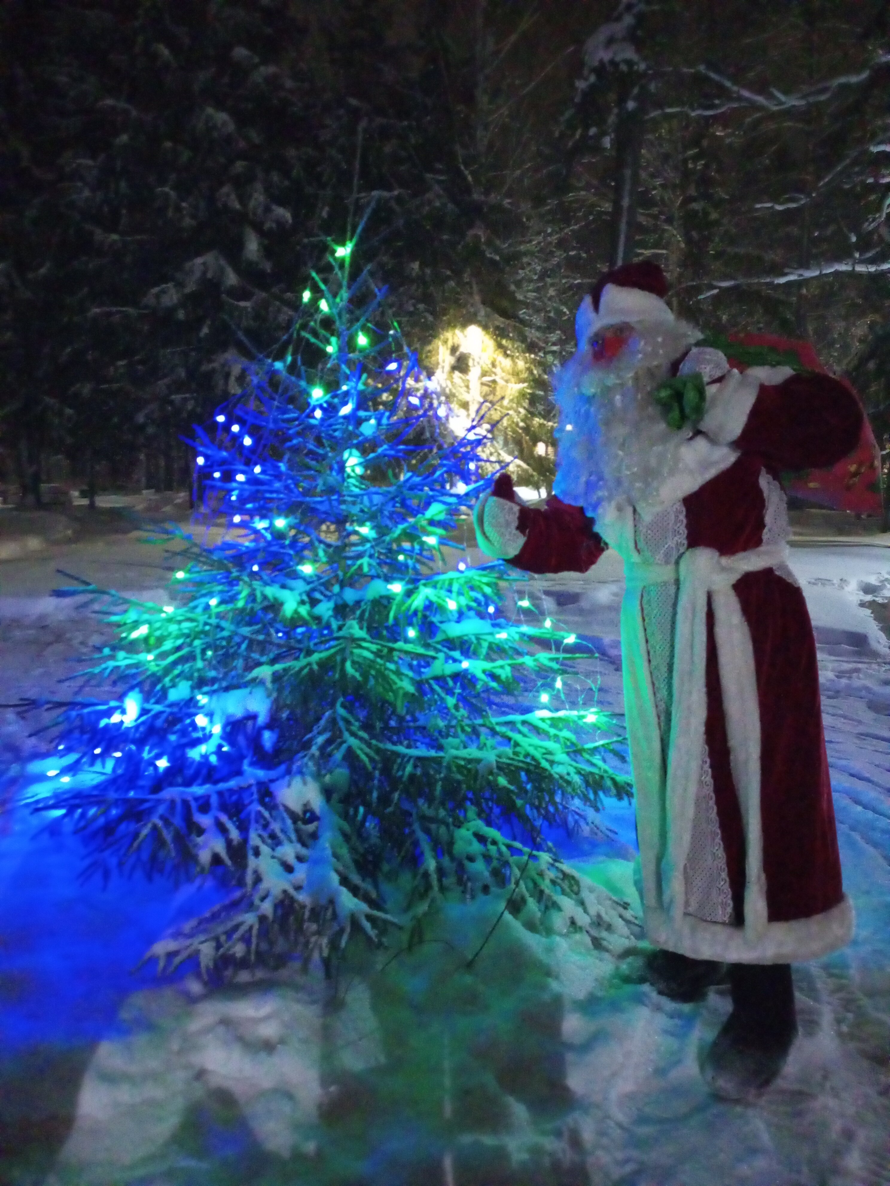 Фото Тихий Лес