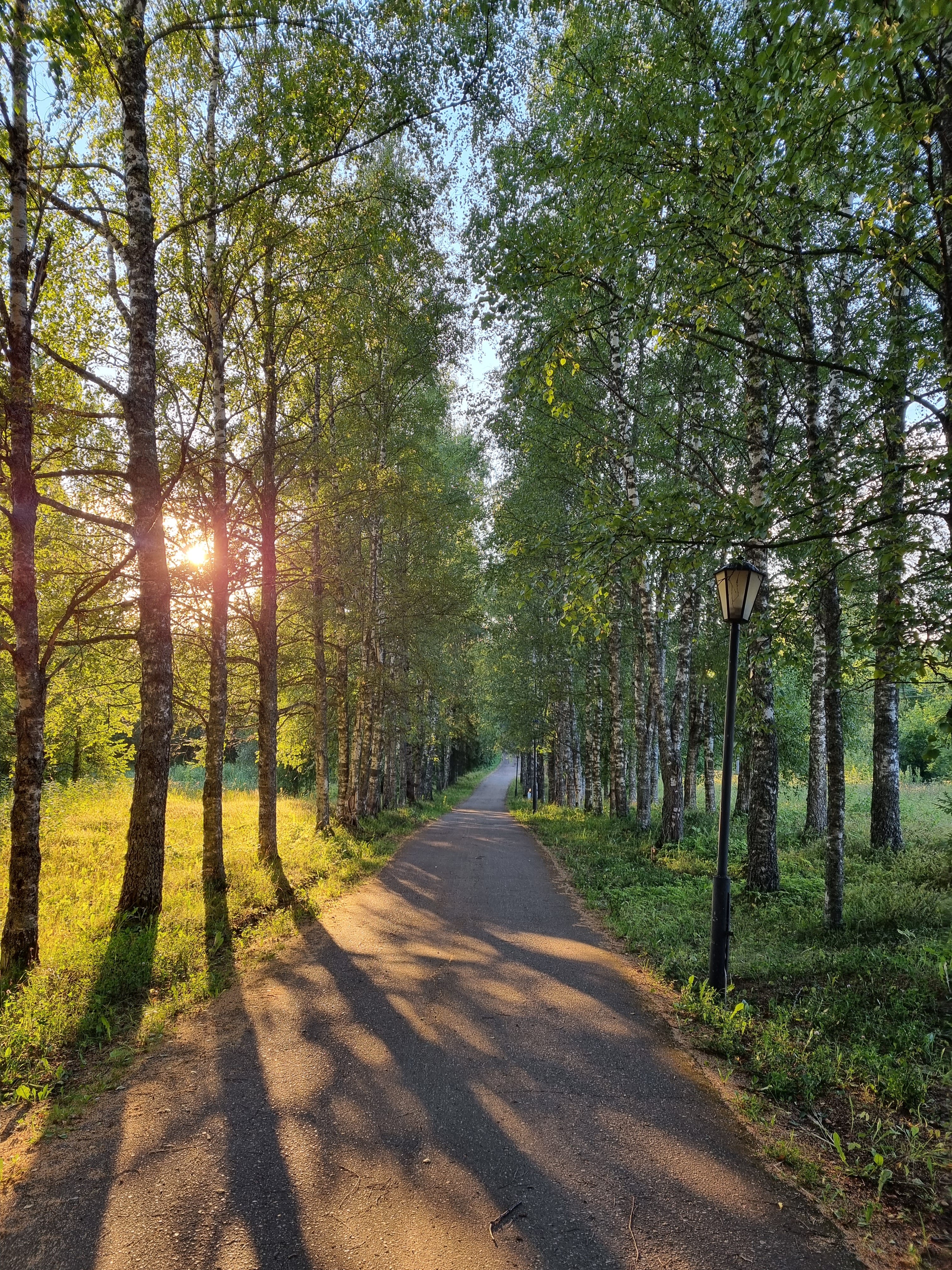Фото Селигер Палас