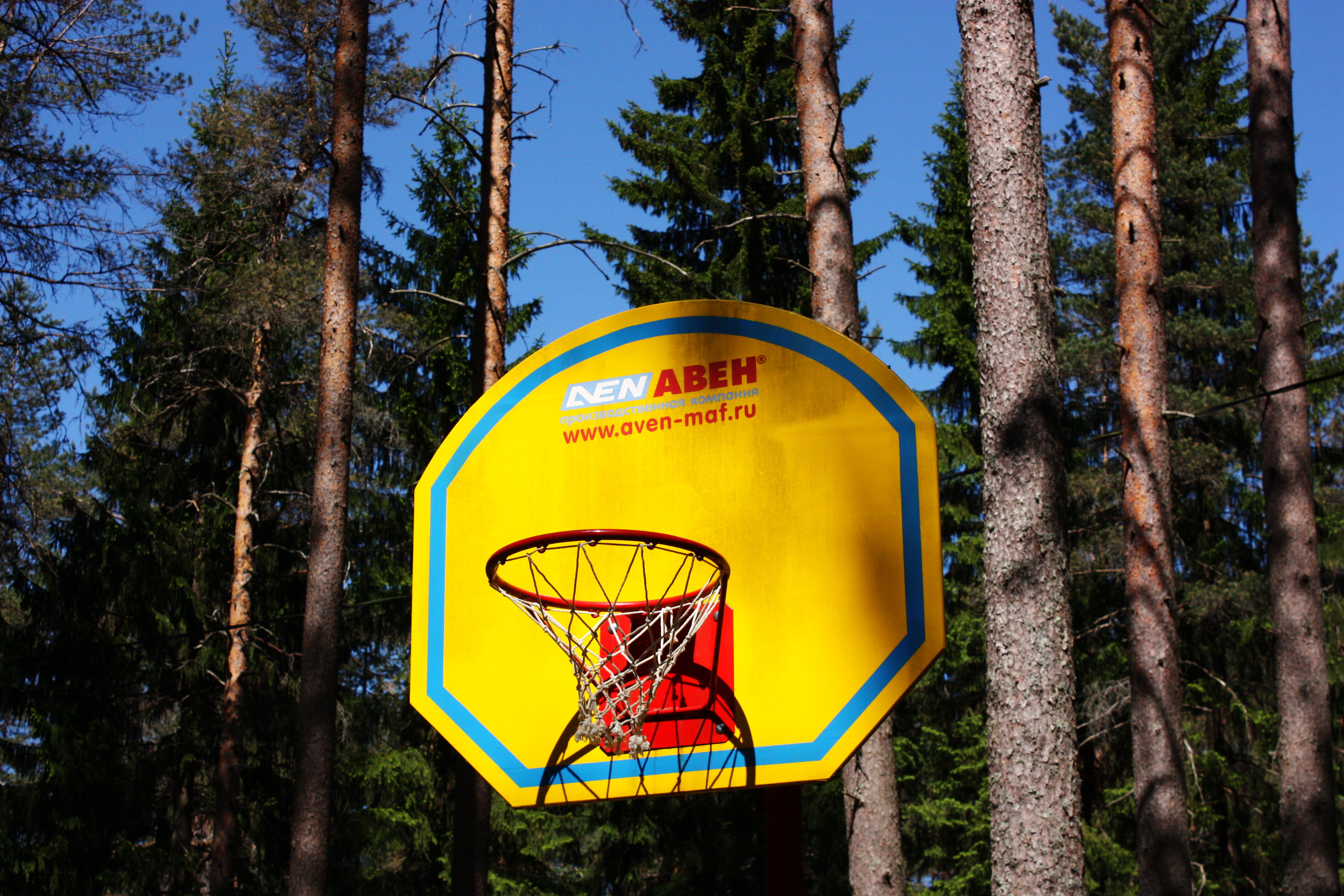 Фото Лесная обитель