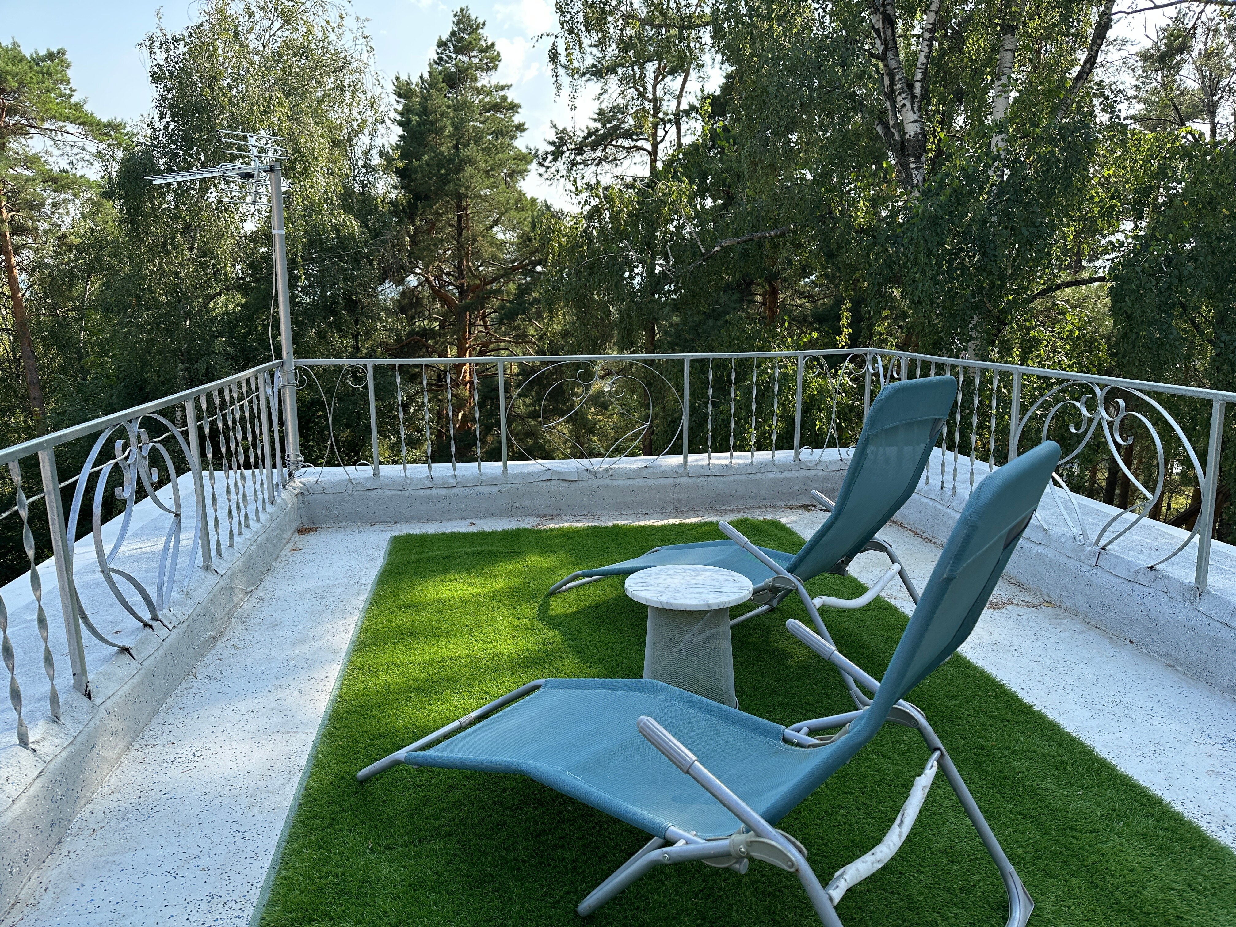 Фото Лесная сказка