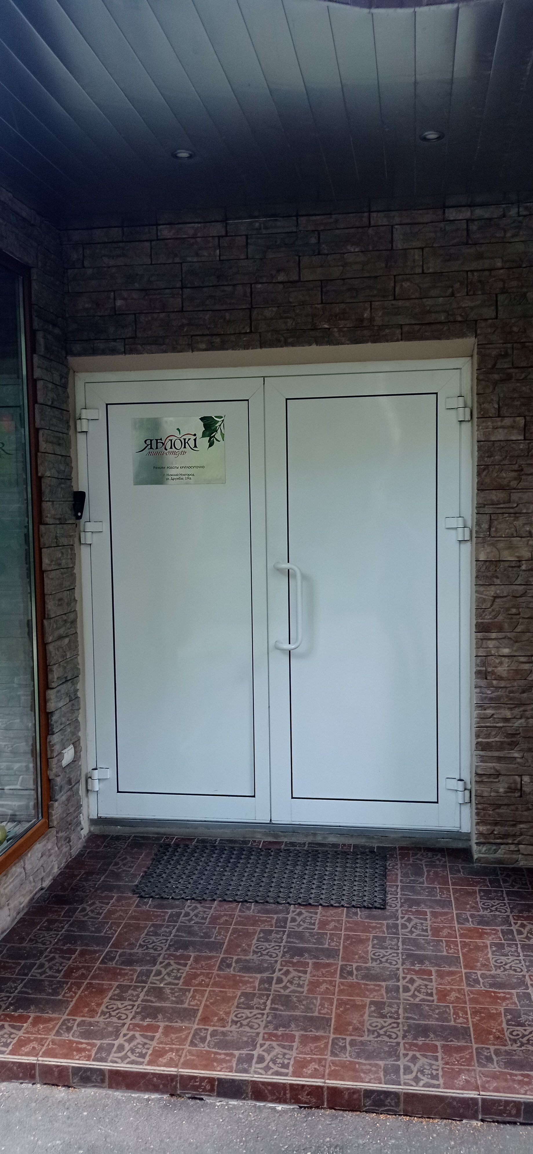 Фото Яблоки