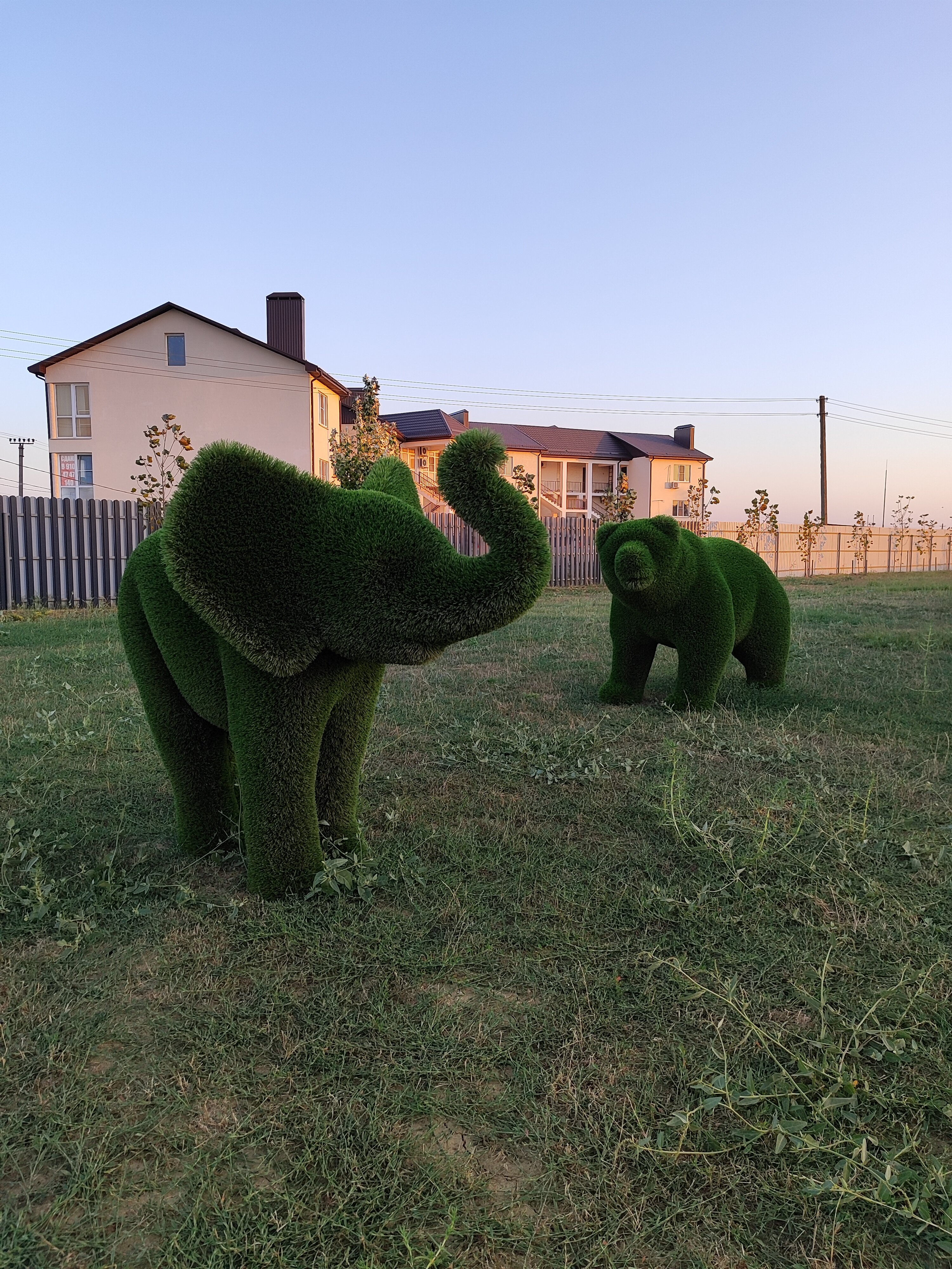 Фото Веселовка Парк