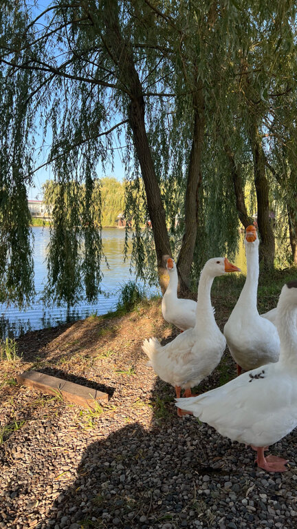 Фото Драгунская застава
