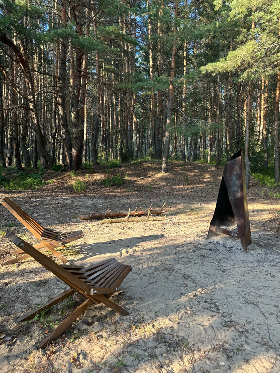 Фото Место под соснами