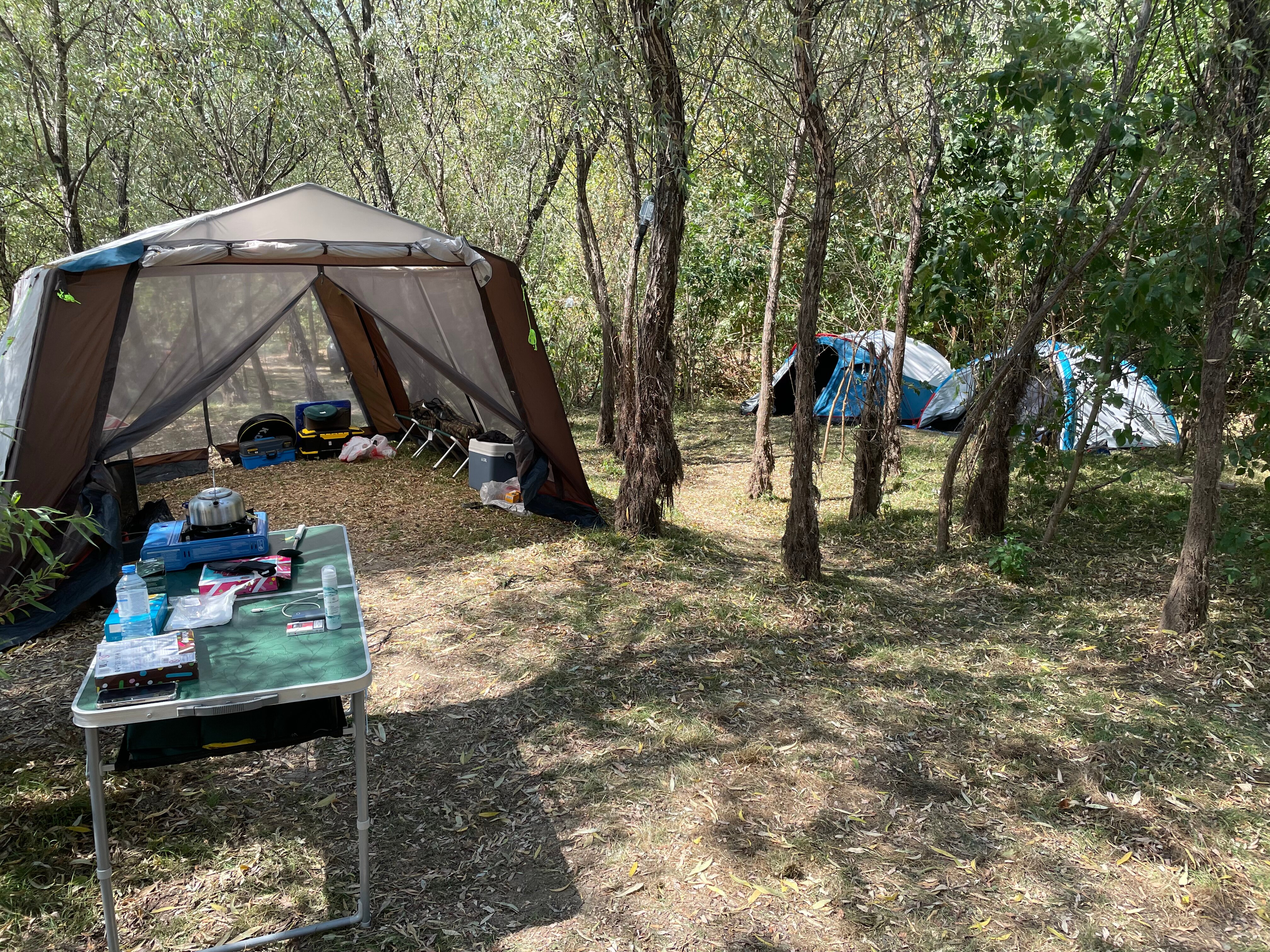 Фото База Звезда