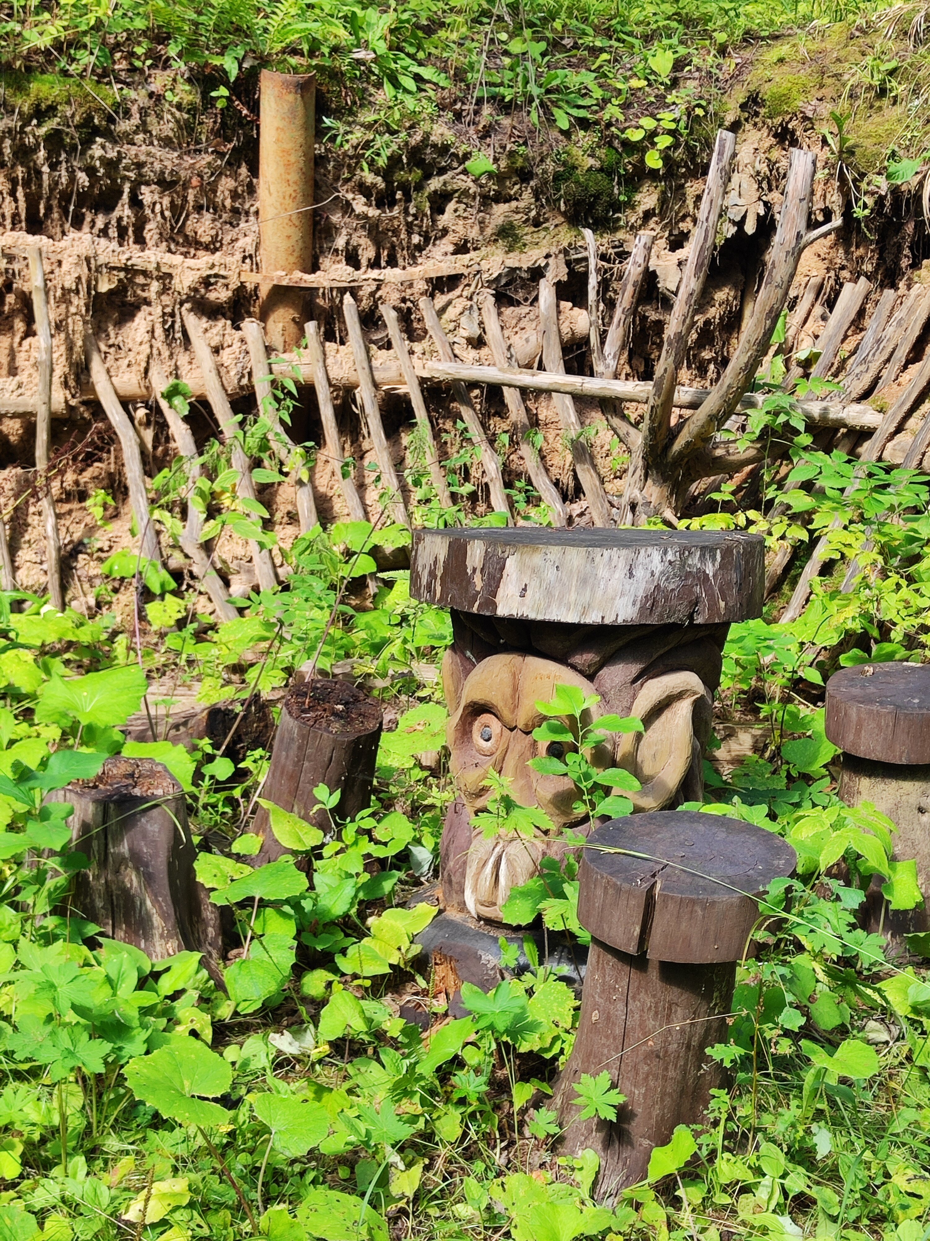 Фото Берёзовая роща